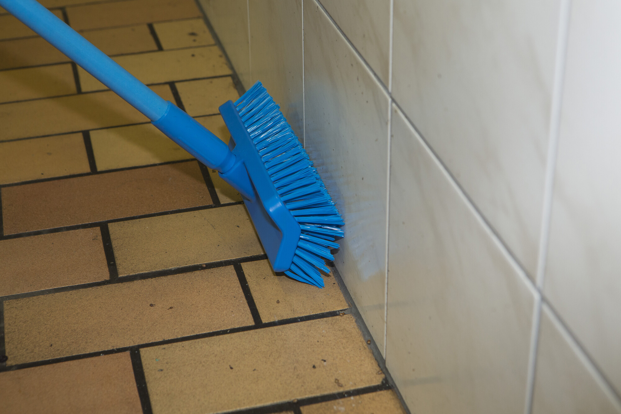 Vikan High-Low Brush, 265 mm, Medium, Blue