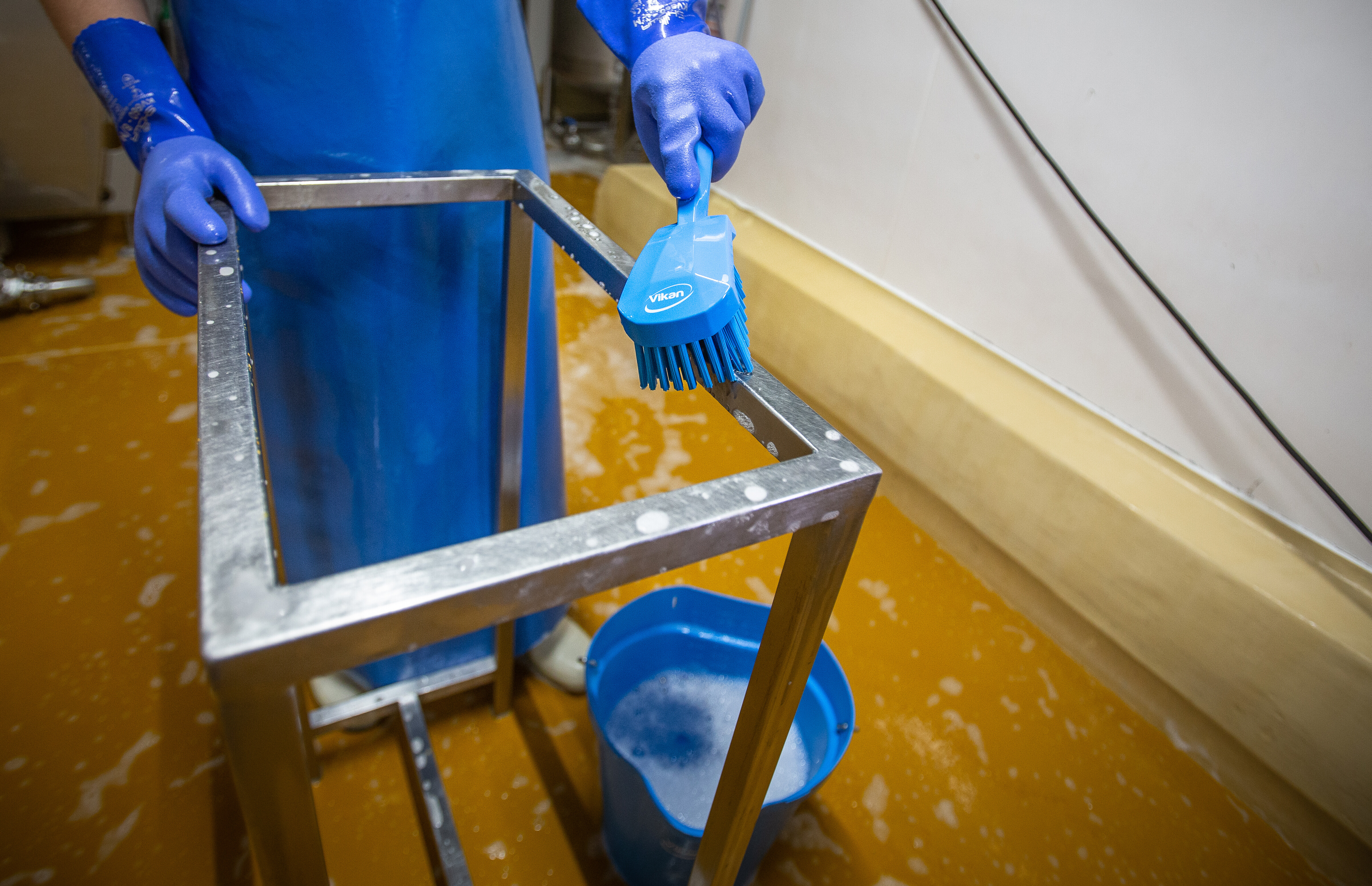 Vikan Washing Brush w/short Handle, 270 mm, Hard, Blue