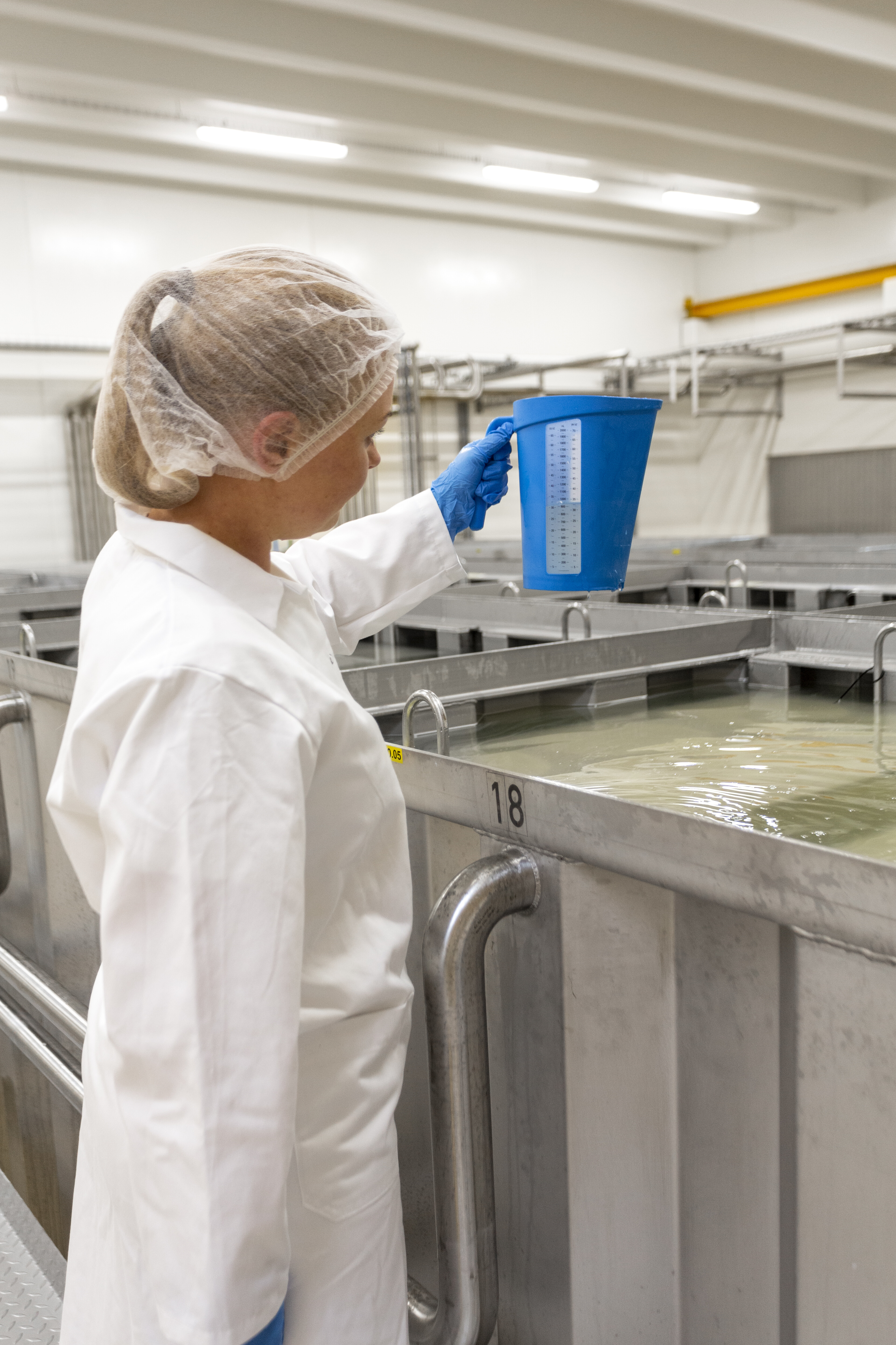 Vikan Measuring jug, 2 Litre, Blue