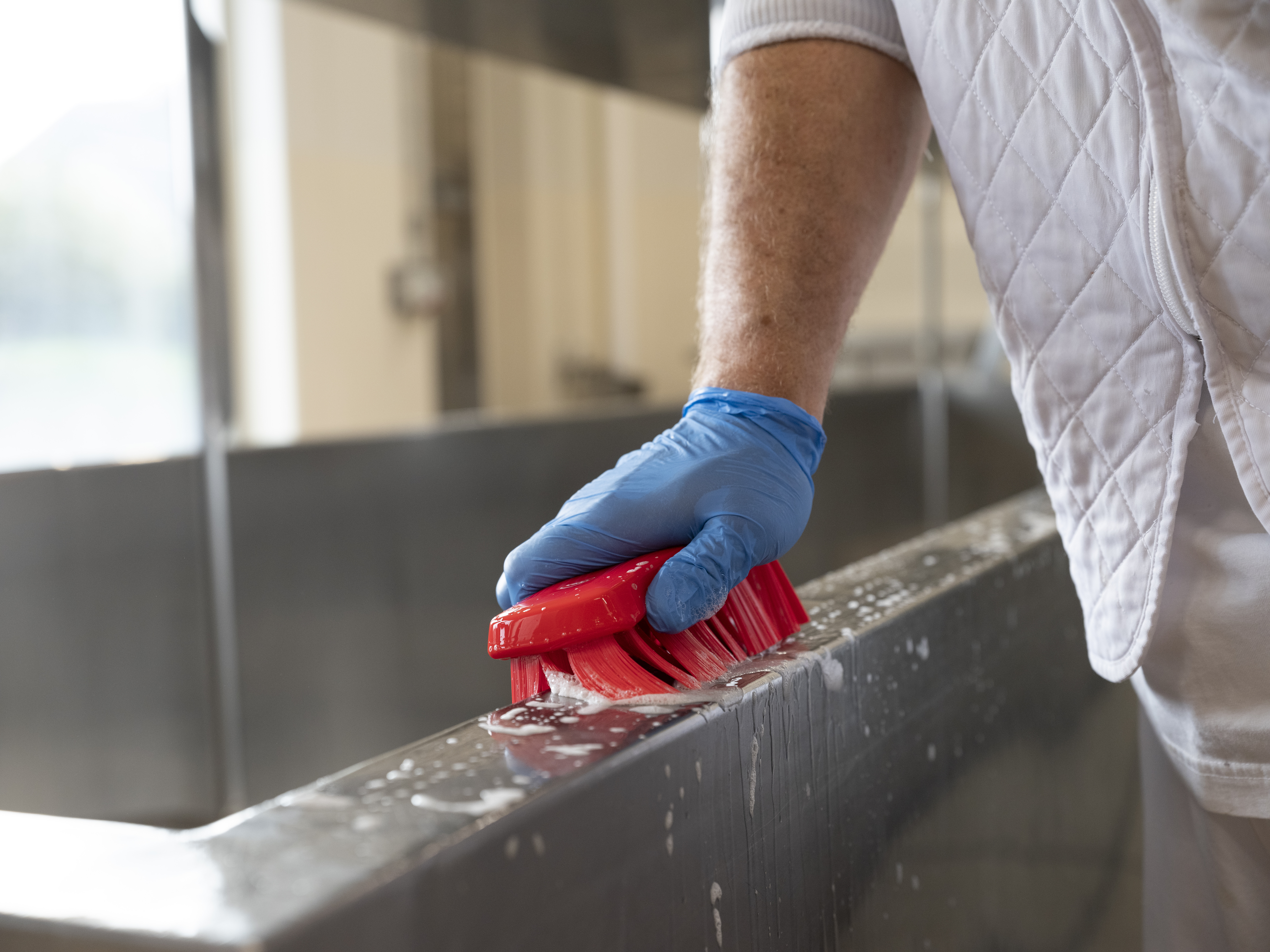 Vikan UST Hand Brush, 176 mm, Hard, Blue