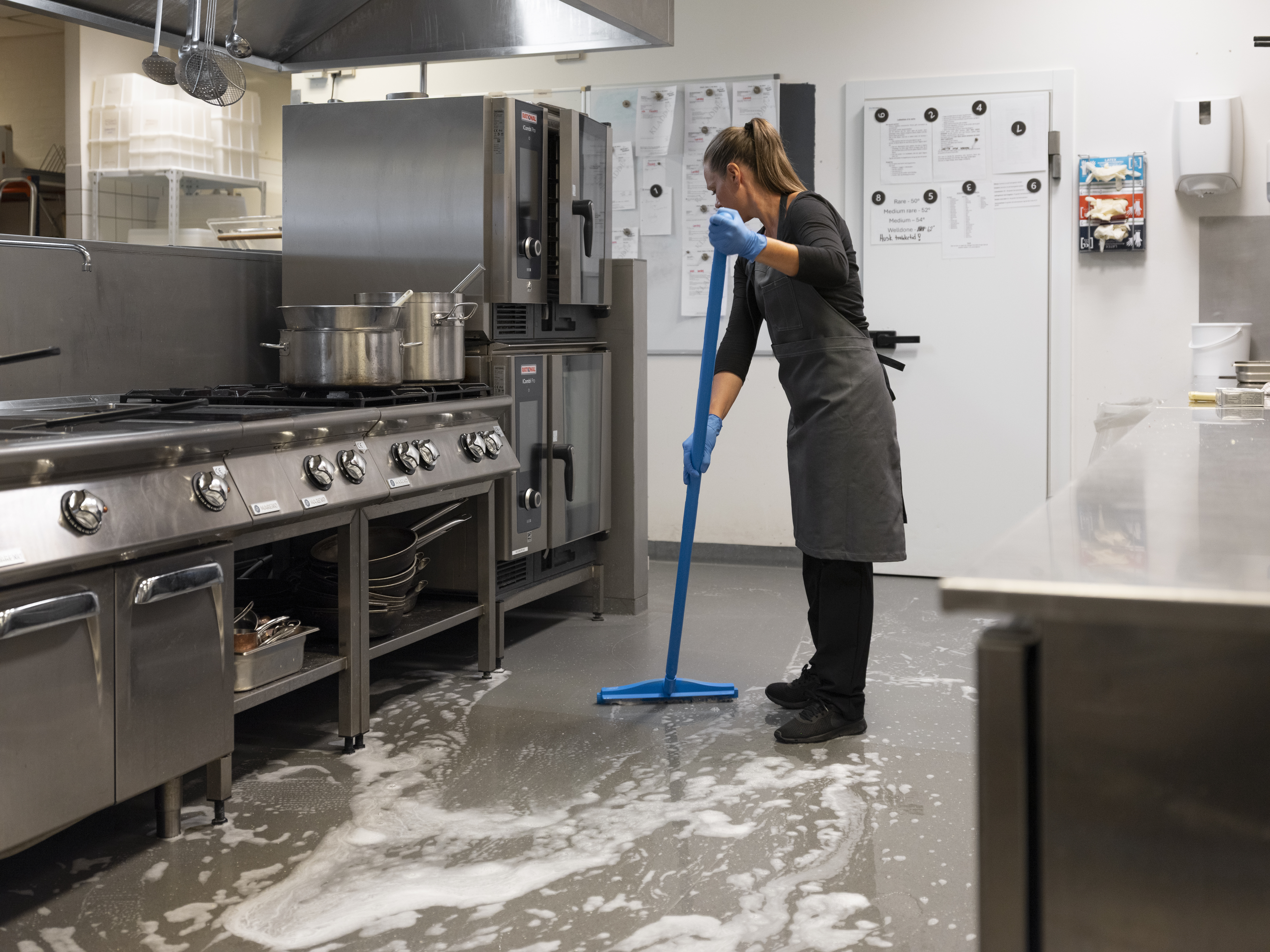 Vikan Hygienic Revolving Neck  Squeegee w/replacement cassette, 405 mm, Blue