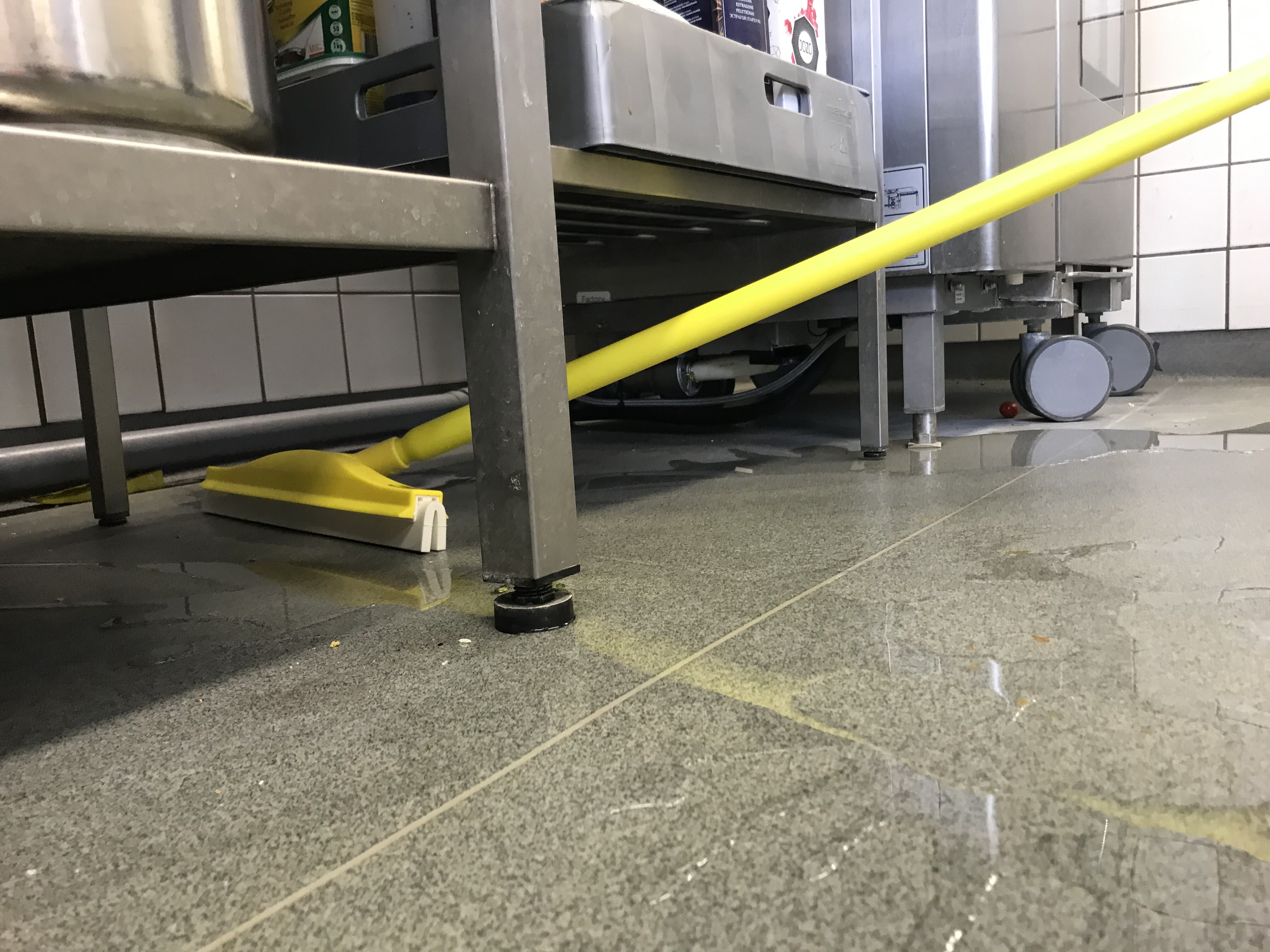 Vikan Revolving Neck Floor squeegee w/Replacement Cassette, 500 mm, Blue