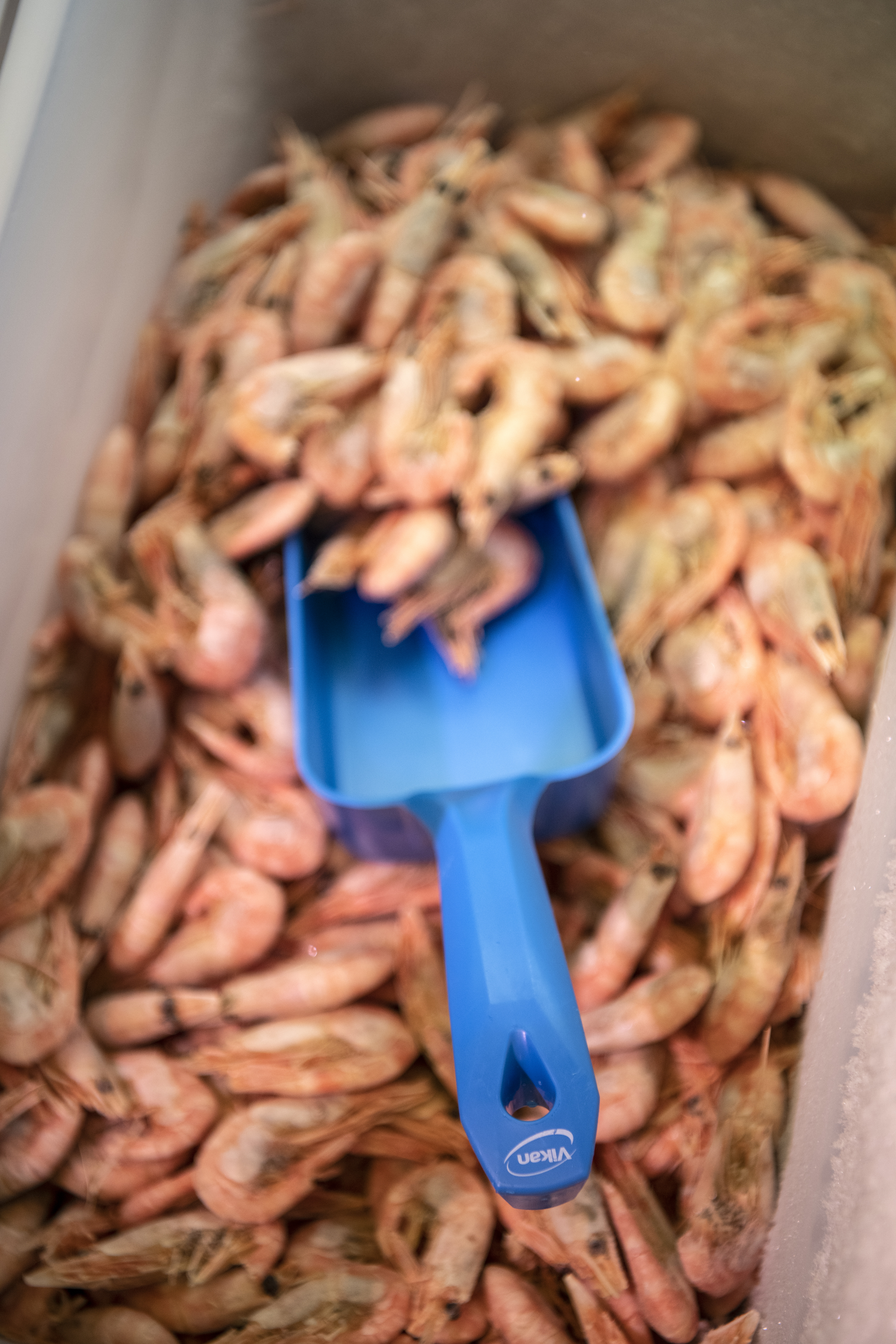 Vikan Hand Scoop, 1 Litre, Blue