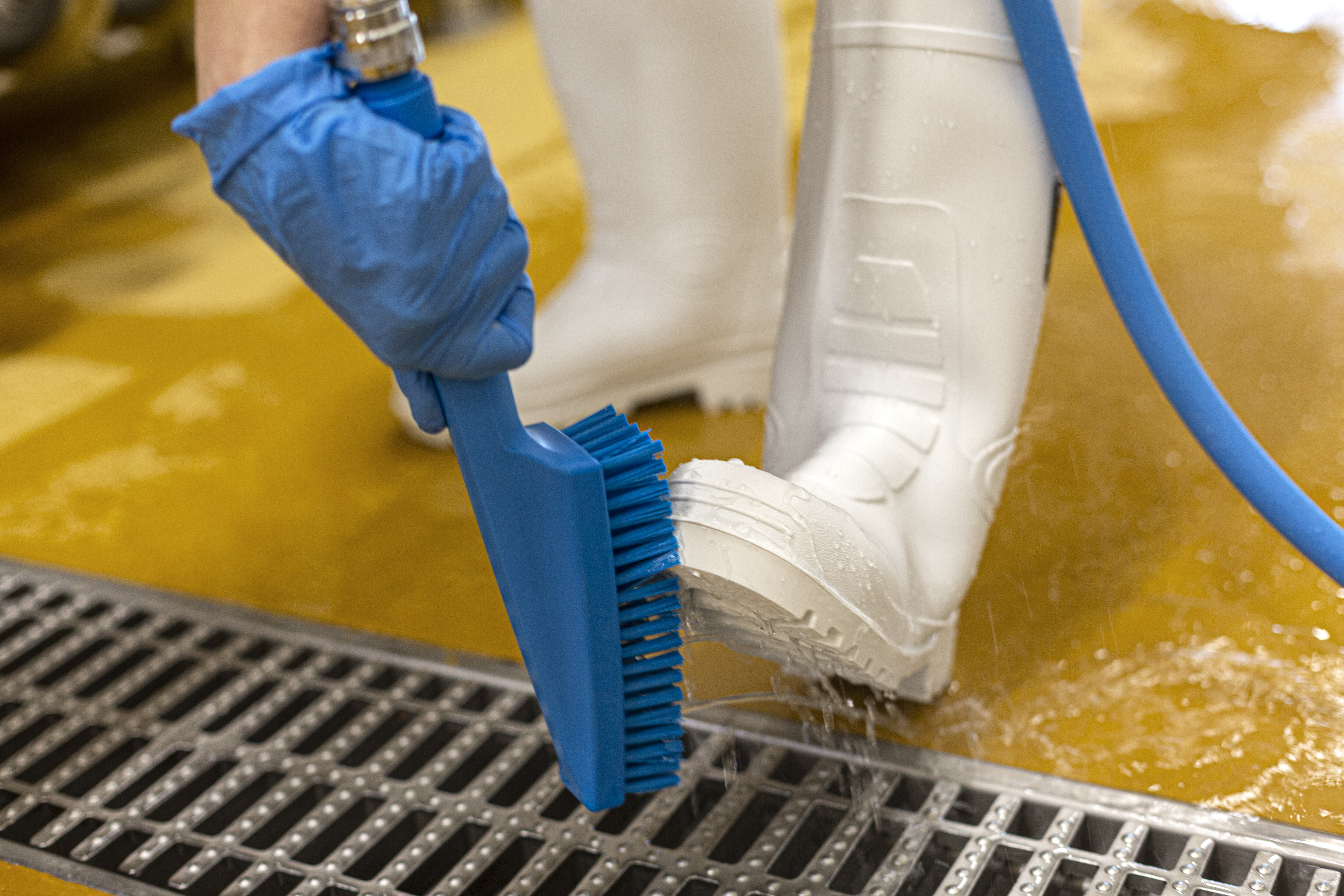 Vikan Hand Brush, waterfed, 330 mm, Hard, Blue