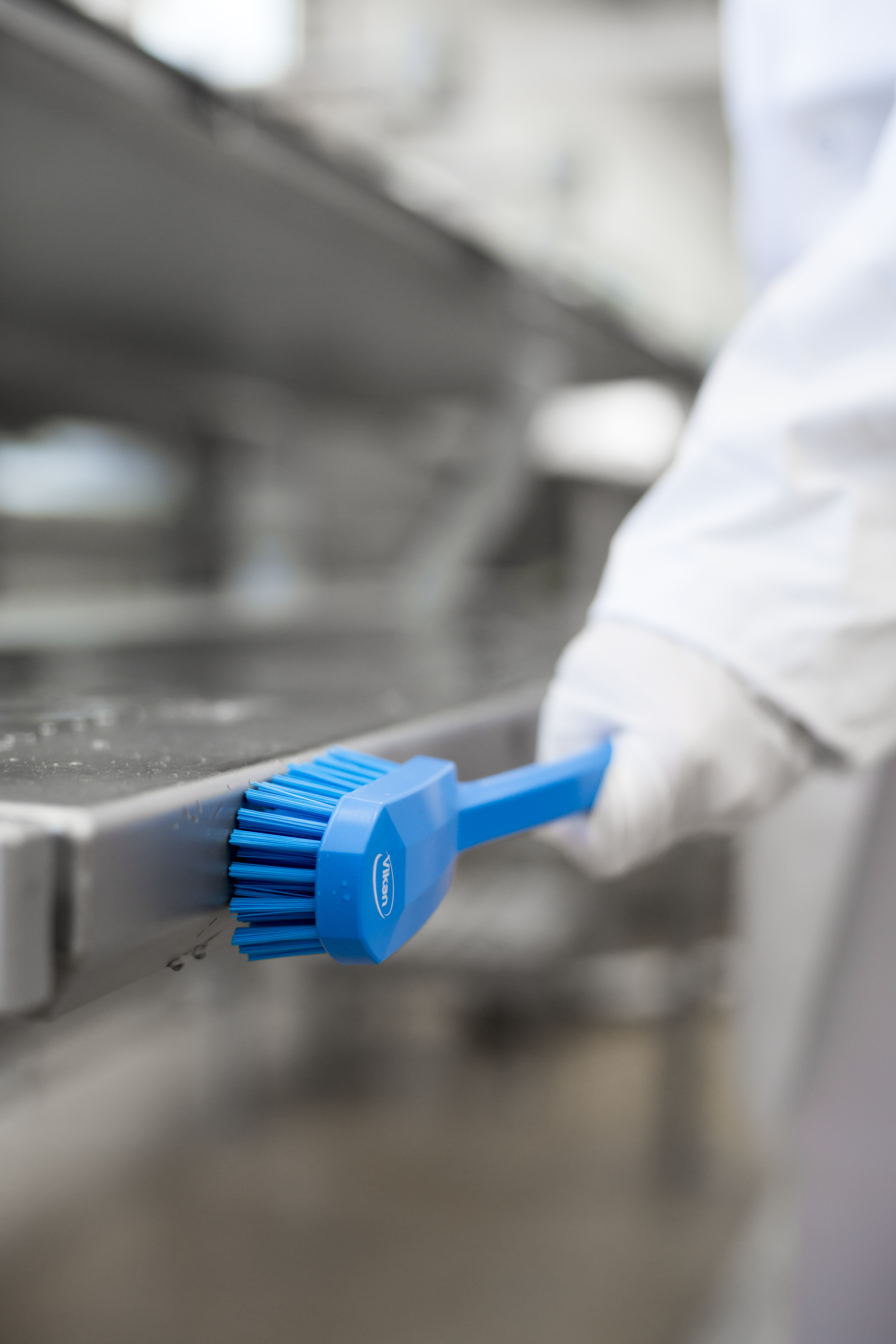 Vikan Utility Brush, 260 mm, Medium, Blue