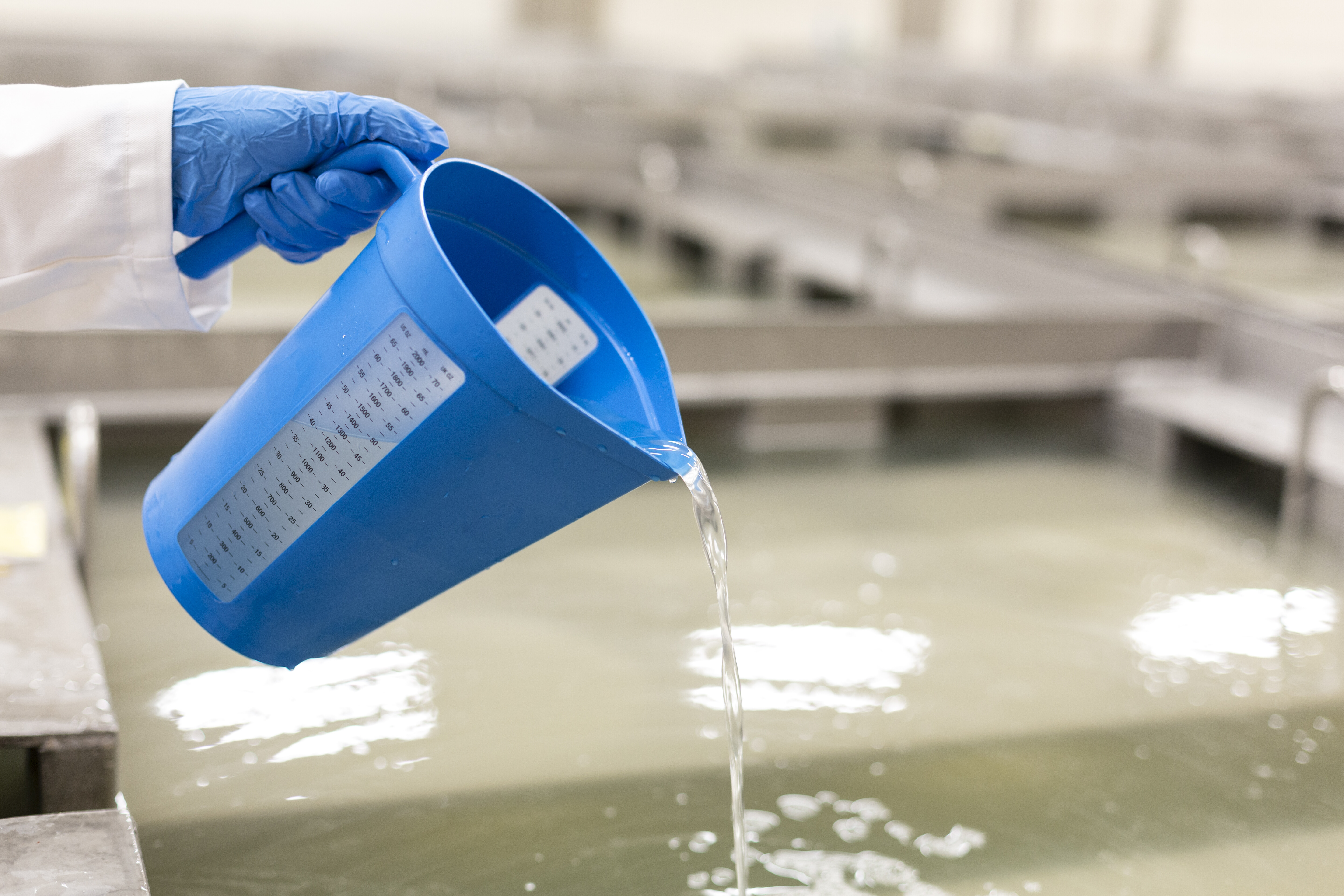 Vikan Measuring jug, 2 Litre, Blue