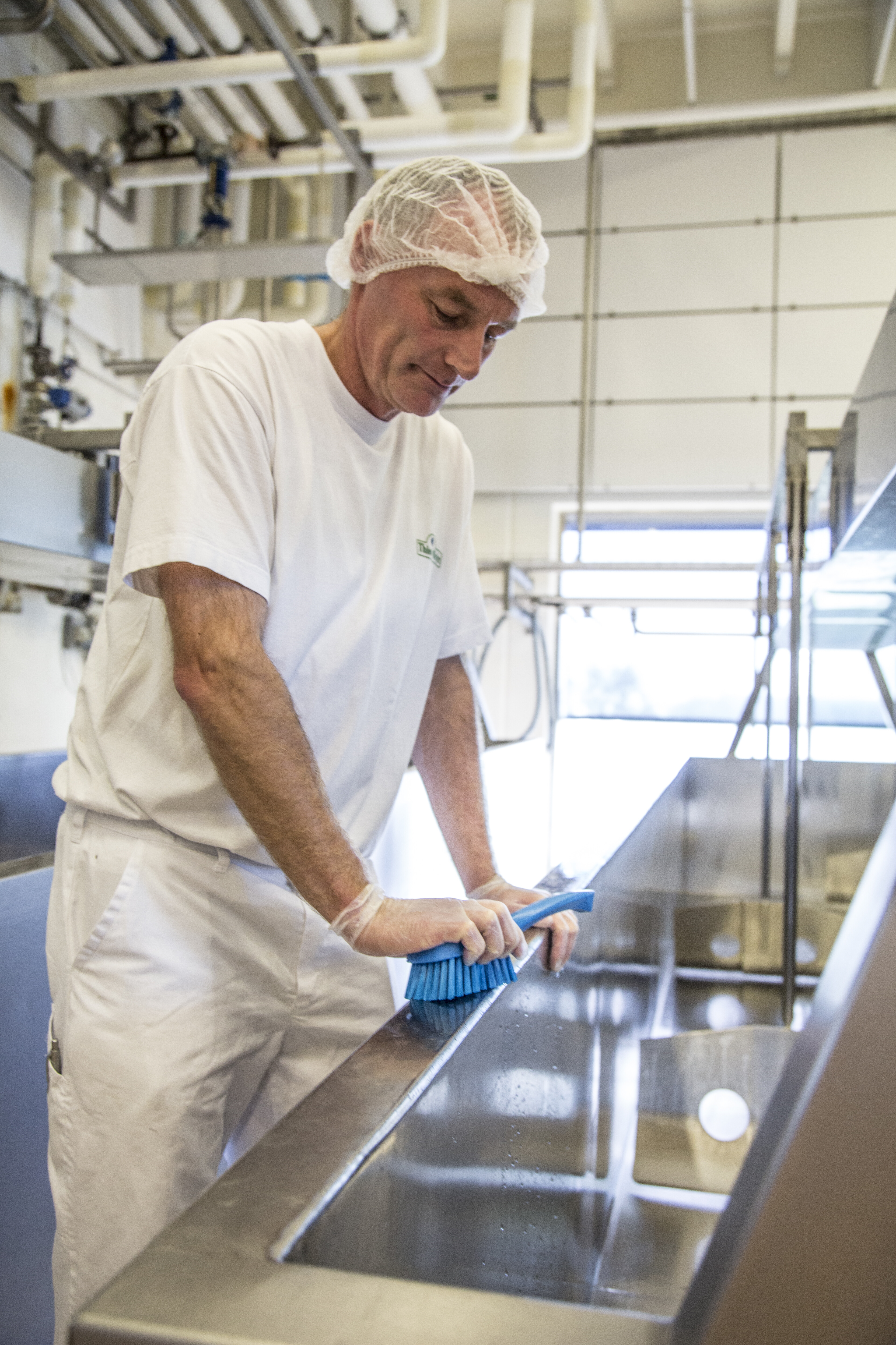 Vikan Washing Brush w/short Handle, 270 mm, Hard, Blue