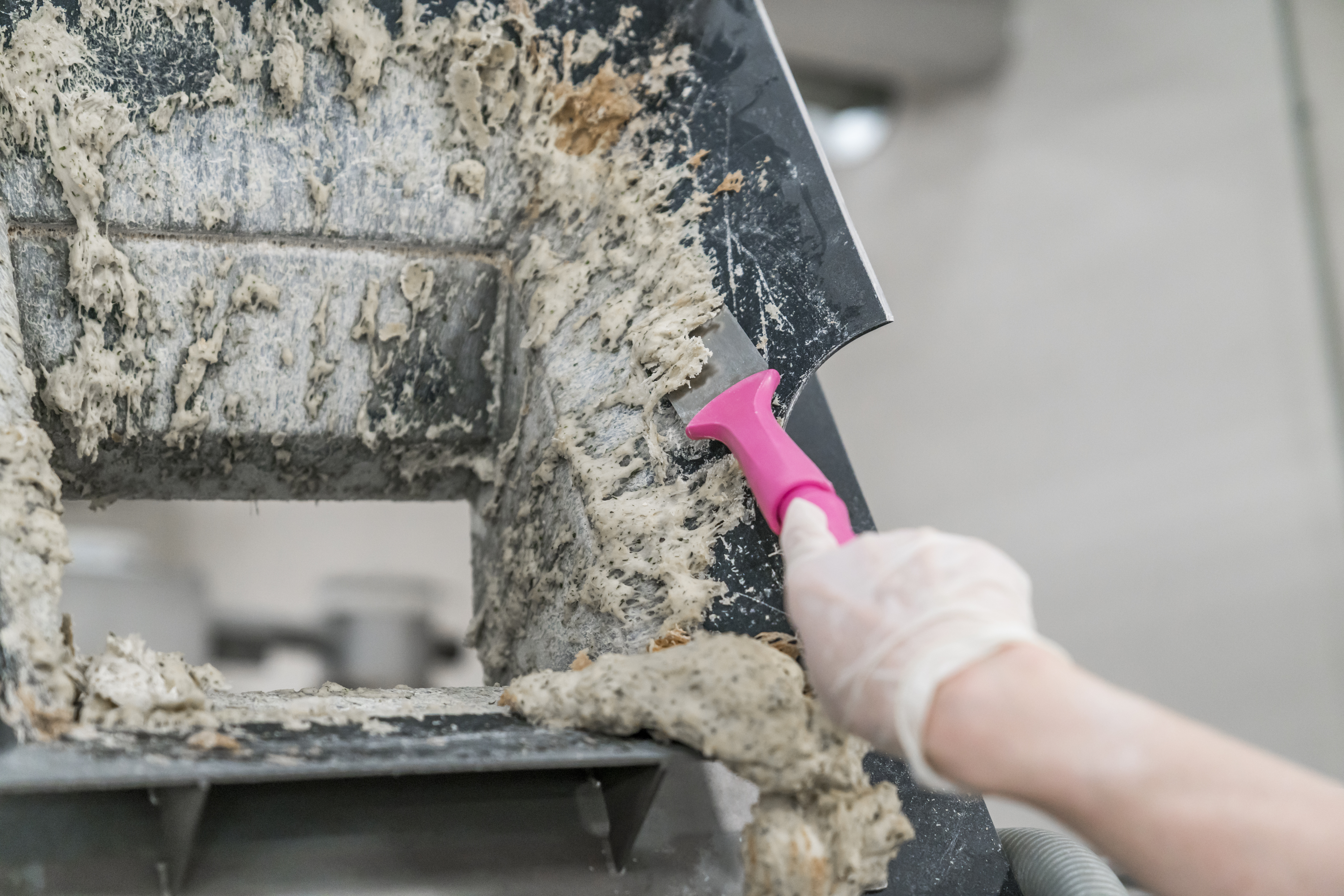 Vikan Stainless Steel Scraper with Threaded Handle, 50 mm, Blue