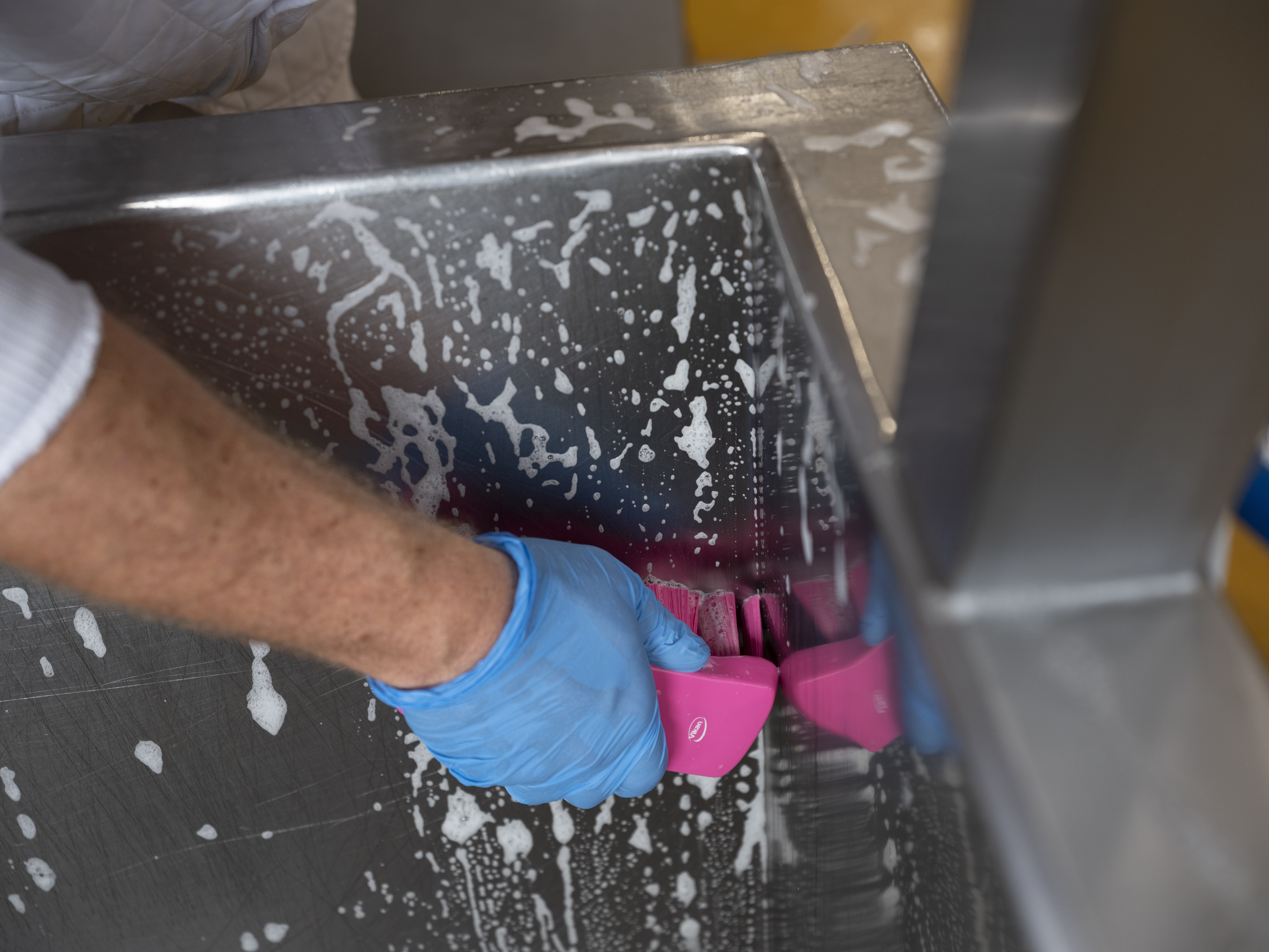 Vikan UST Hand Brush, 176 mm, Hard, Blue