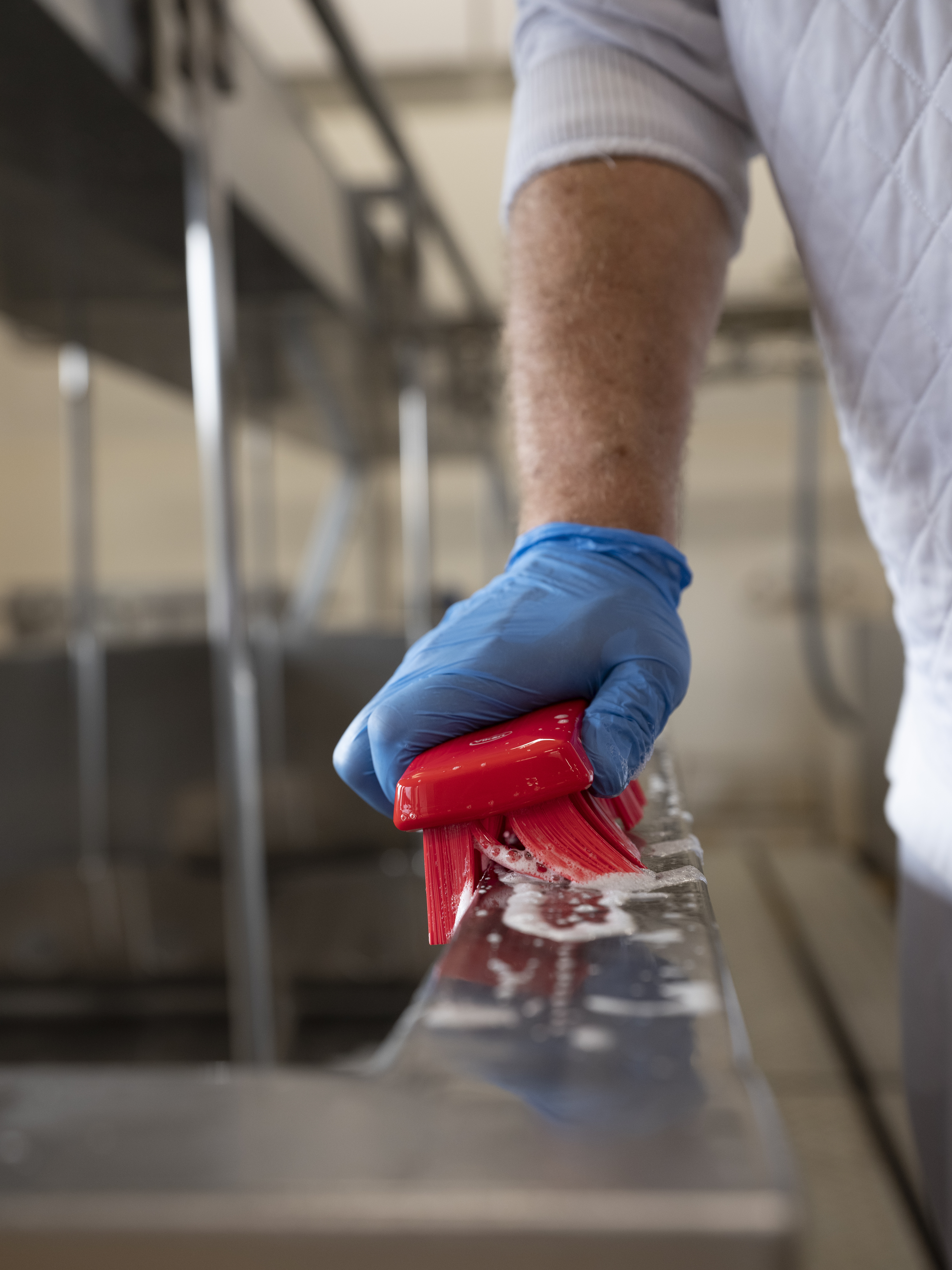 Vikan UST Hand Brush, 176 mm, Hard, Blue