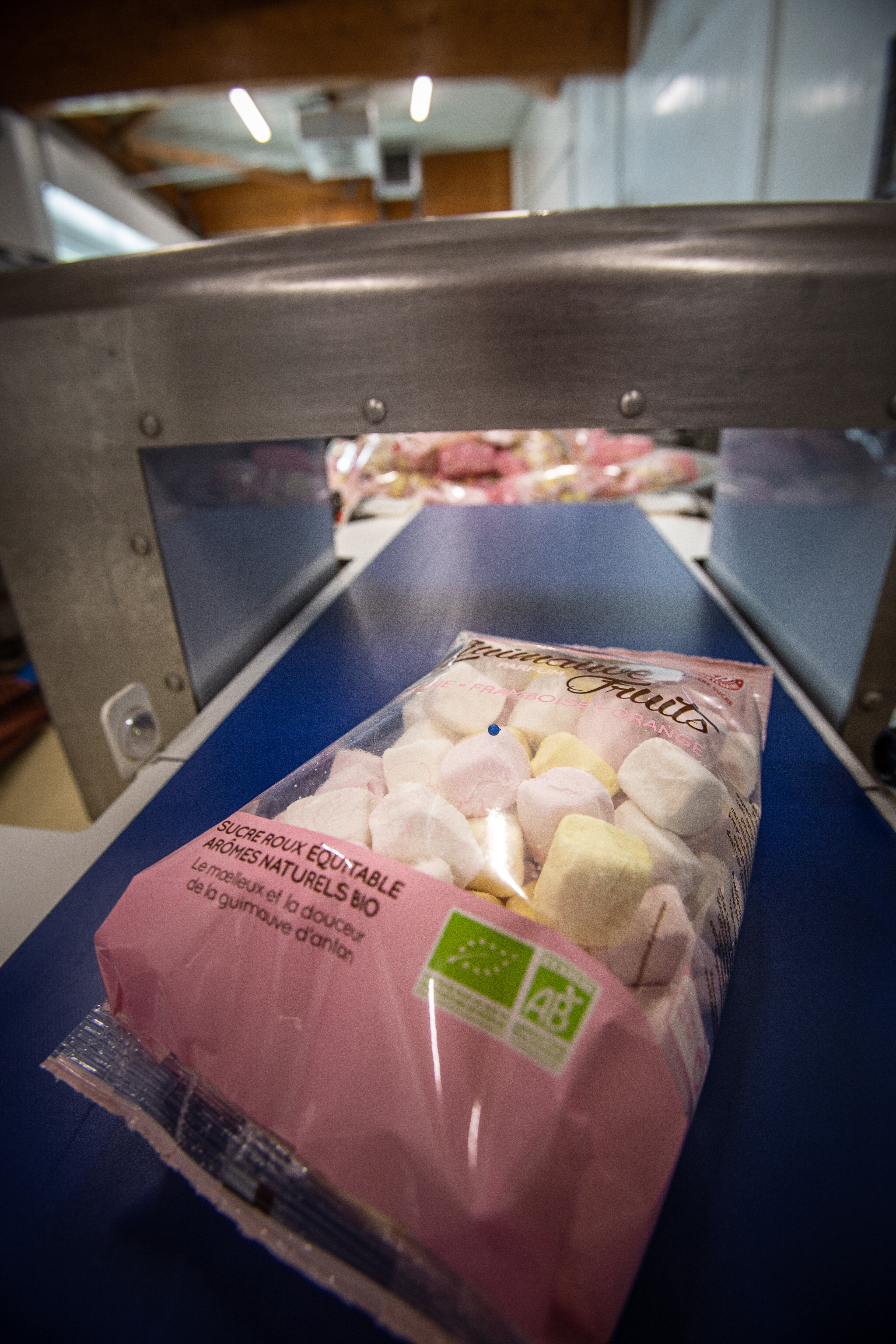 Vikan Kit for metal detection, 55 mm, Blue