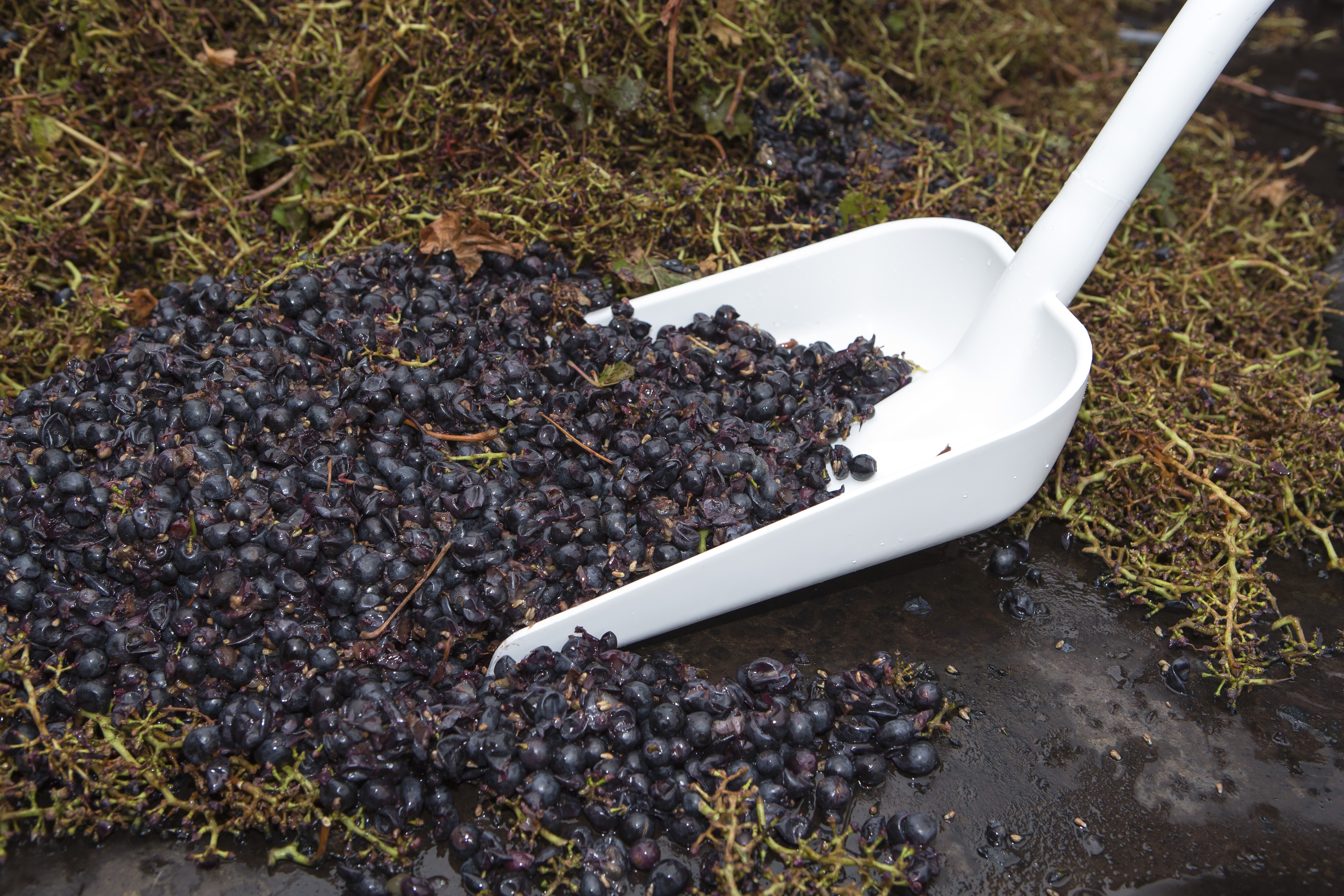 Vikan Ergonomic shovel, 1310 mm, Blue