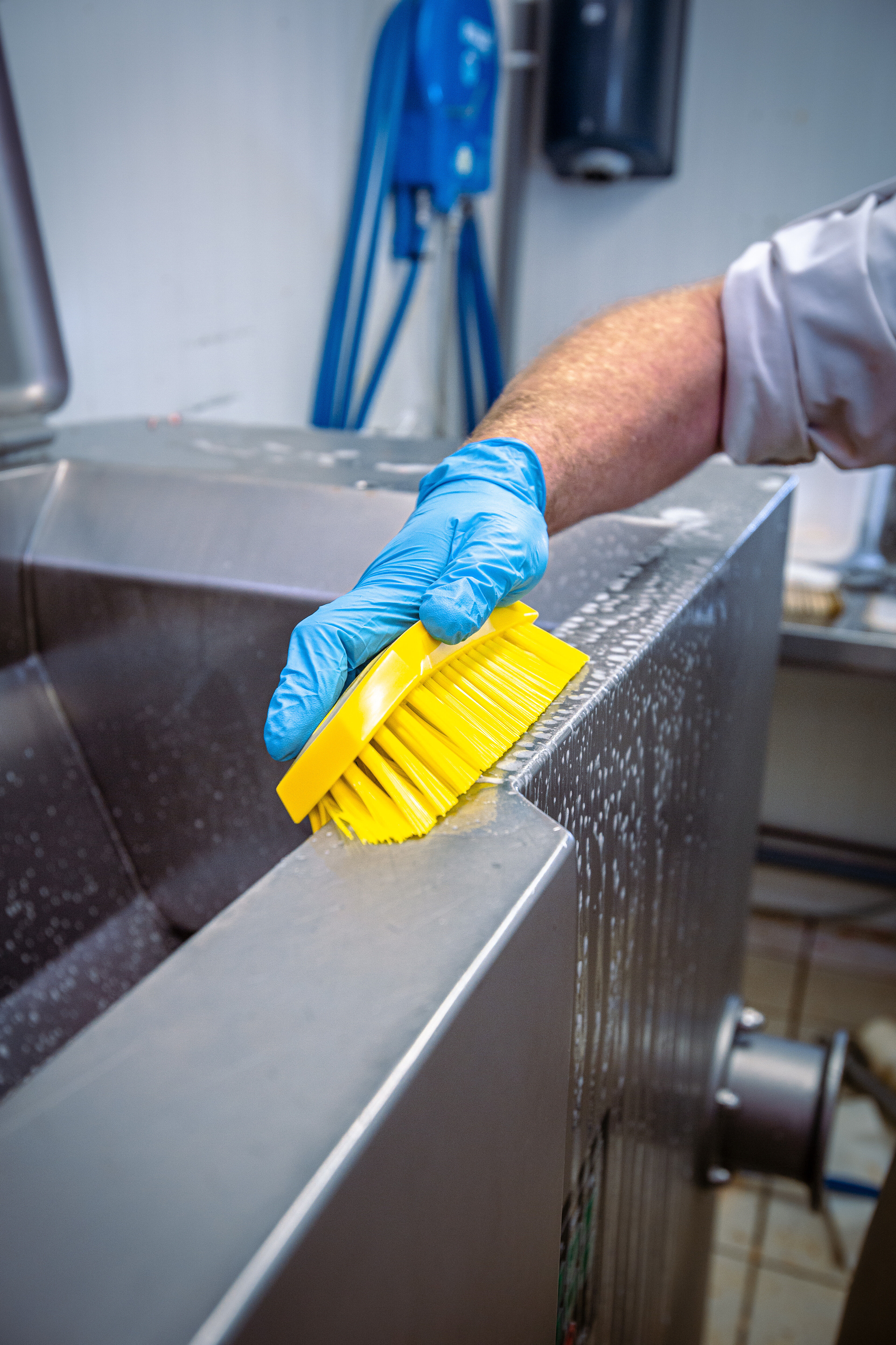 Vikan Hand Brush L, 200 mm, Hard, Blue