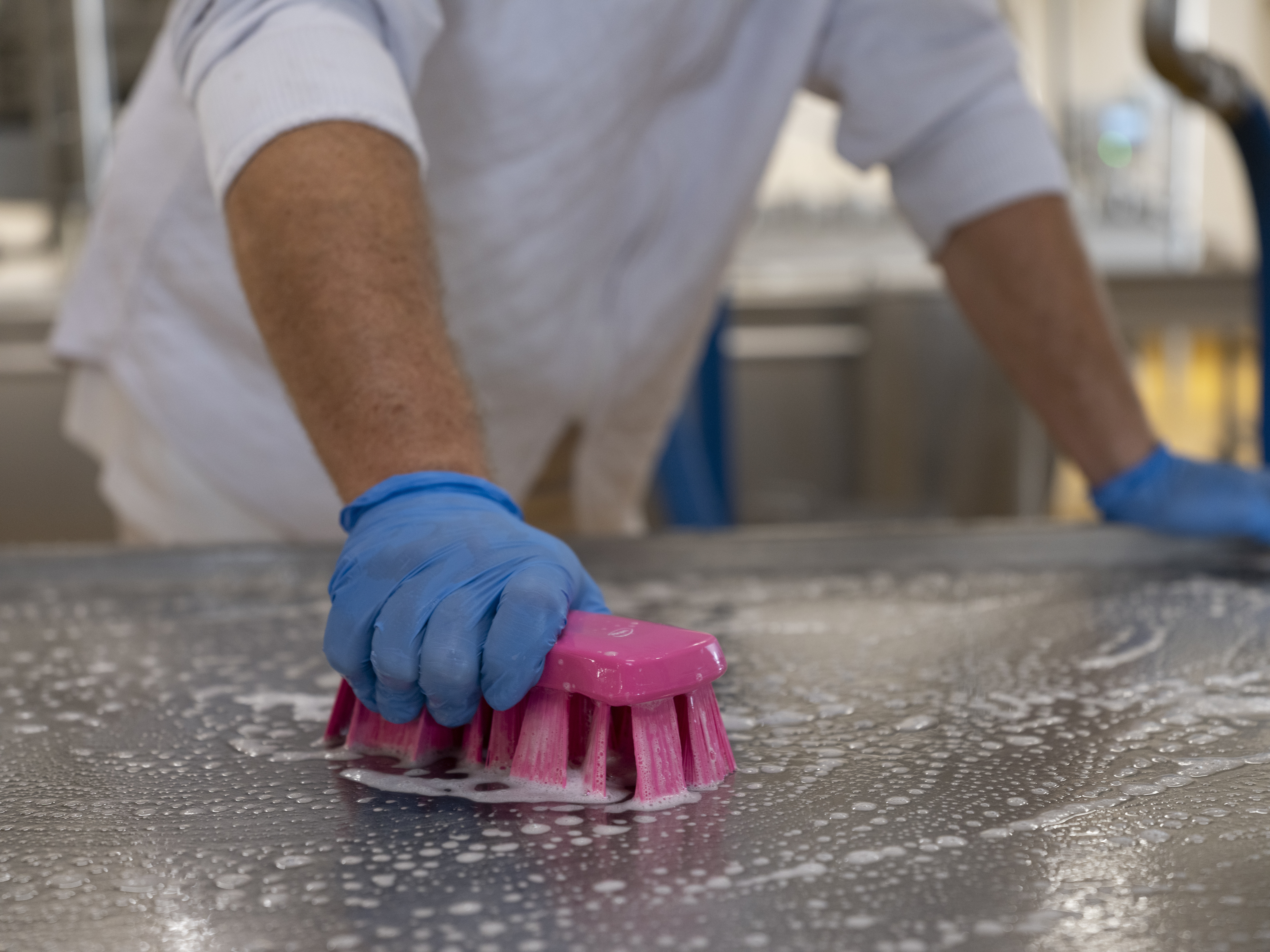 Vikan UST Hand Brush, 176 mm, Hard, Blue