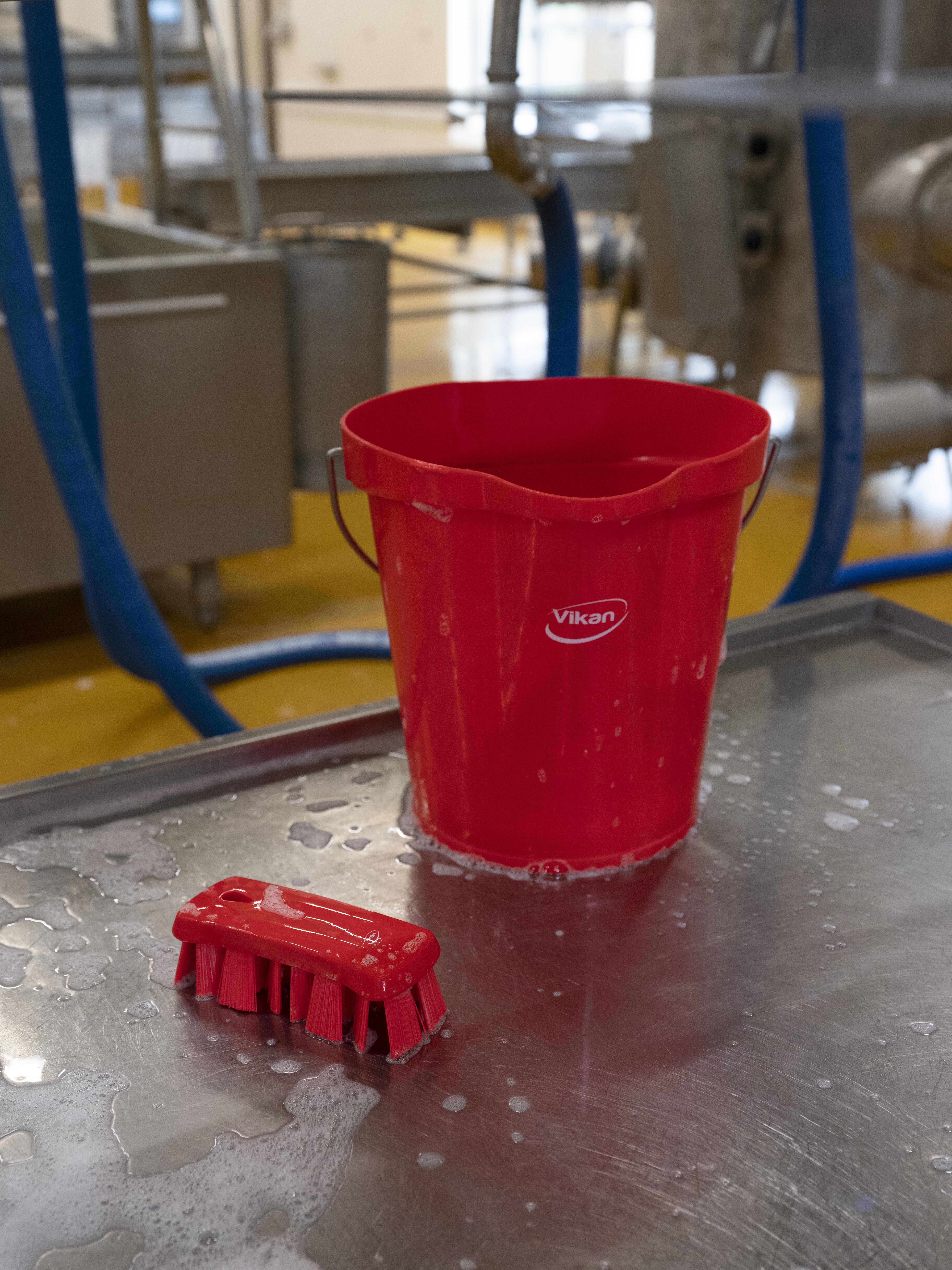 Vikan UST Hand Brush, 176 mm, Hard, Blue