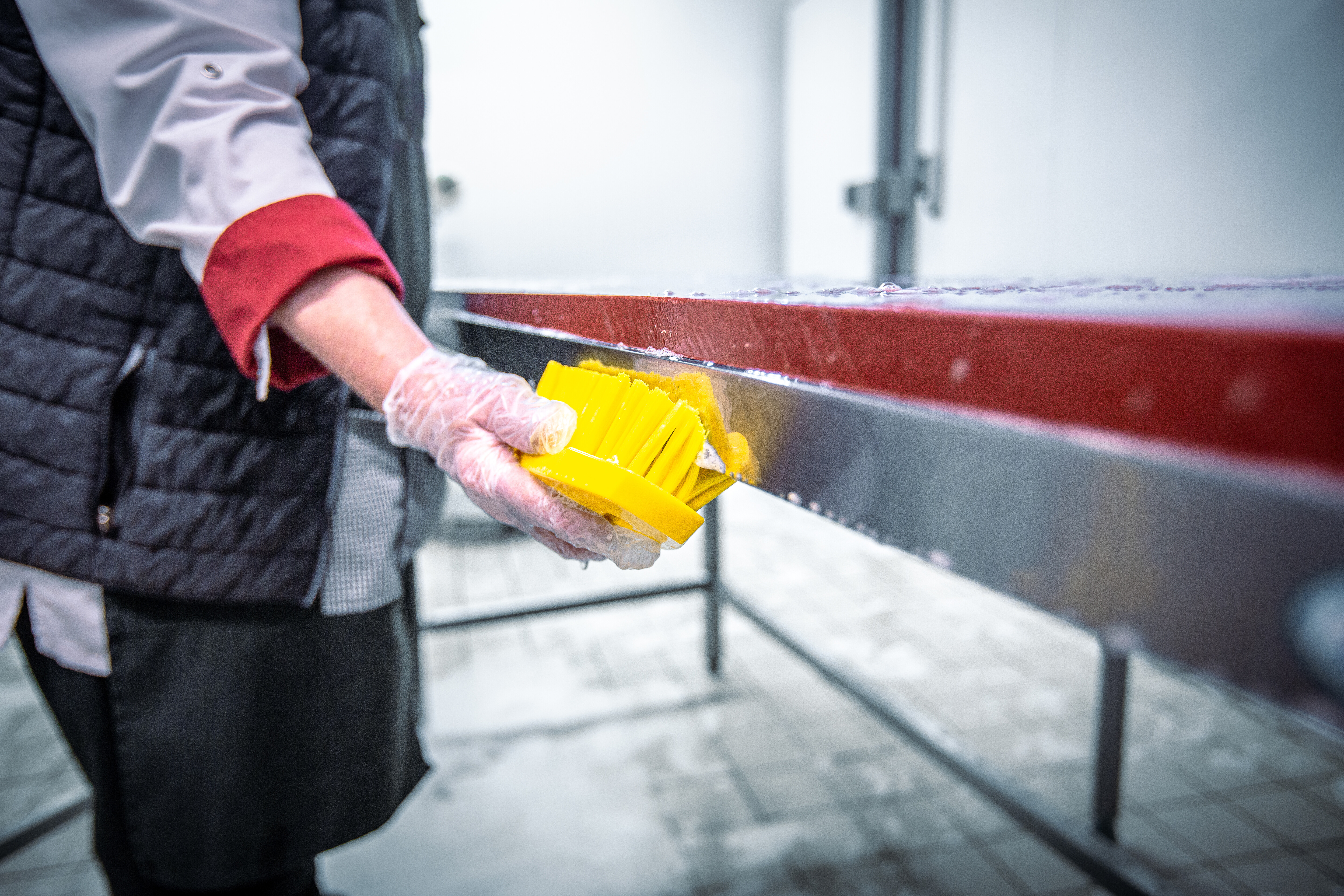 Vikan Hand Brush L, 200 mm, Hard, Blue