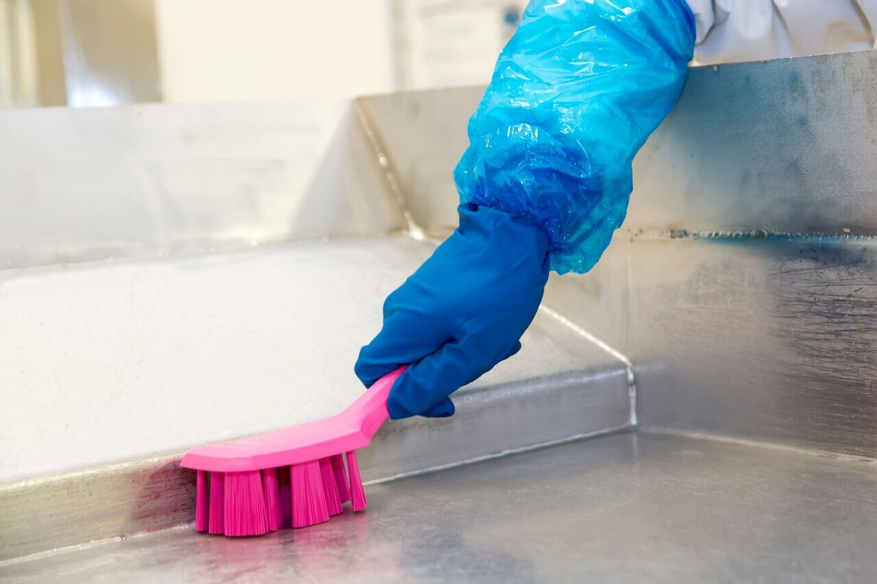 Vikan UST Hand Brush w/short handle, 260 mm, Hard, Blue