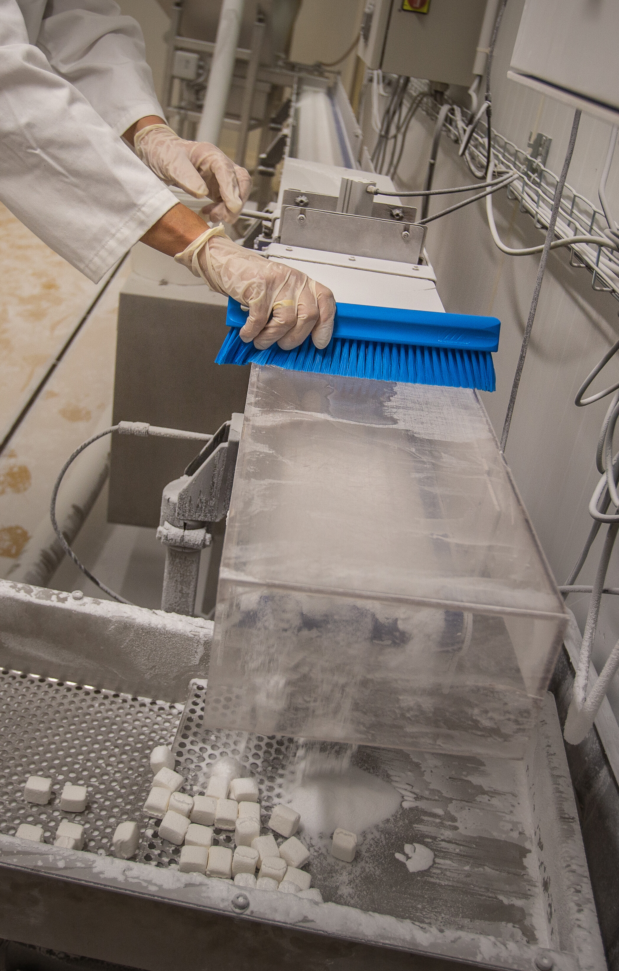 Vikan Powder Brush, 300 mm, Soft, Blue