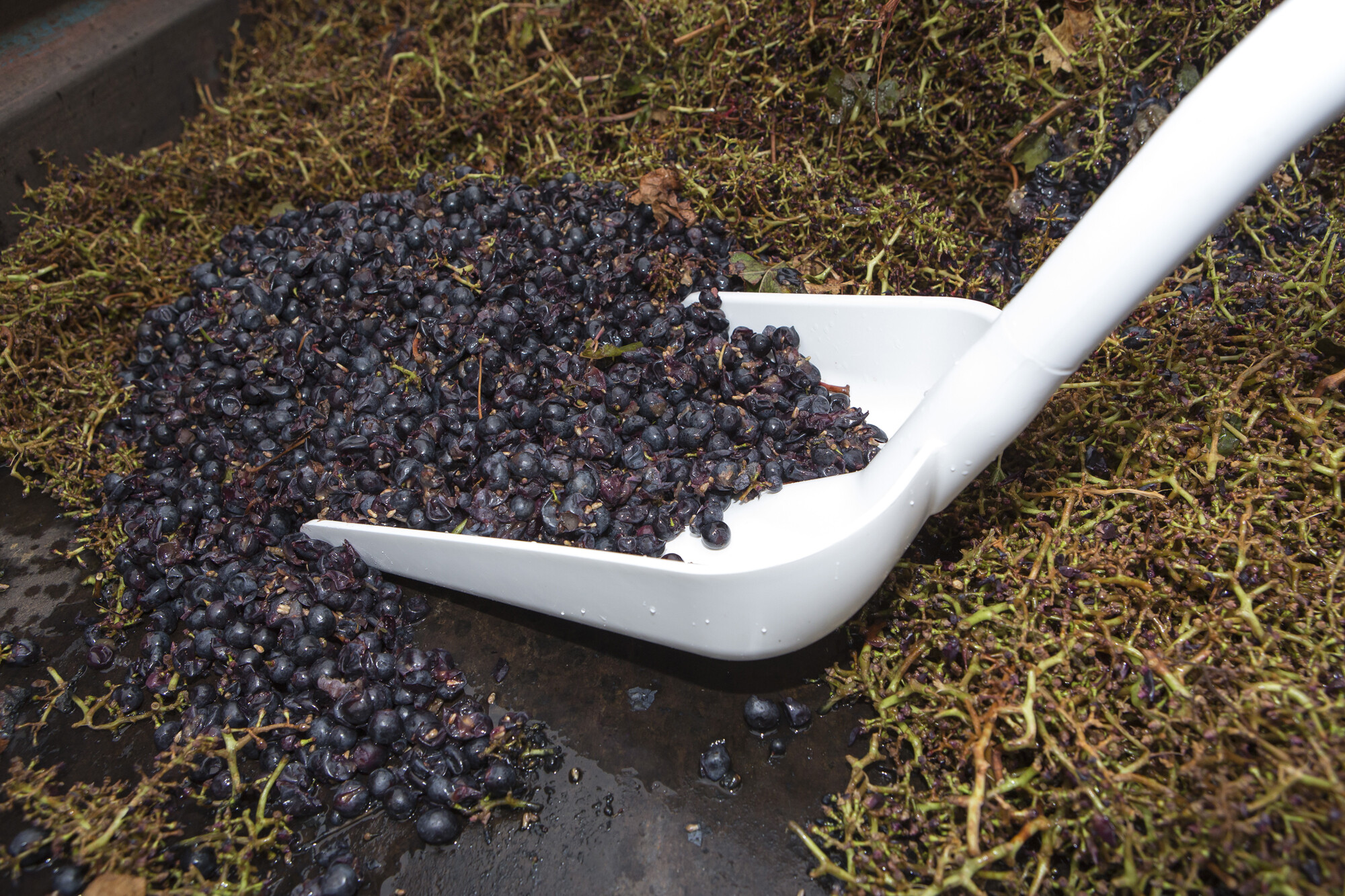 Vikan Ergonomic shovel, 1310 mm, Blue