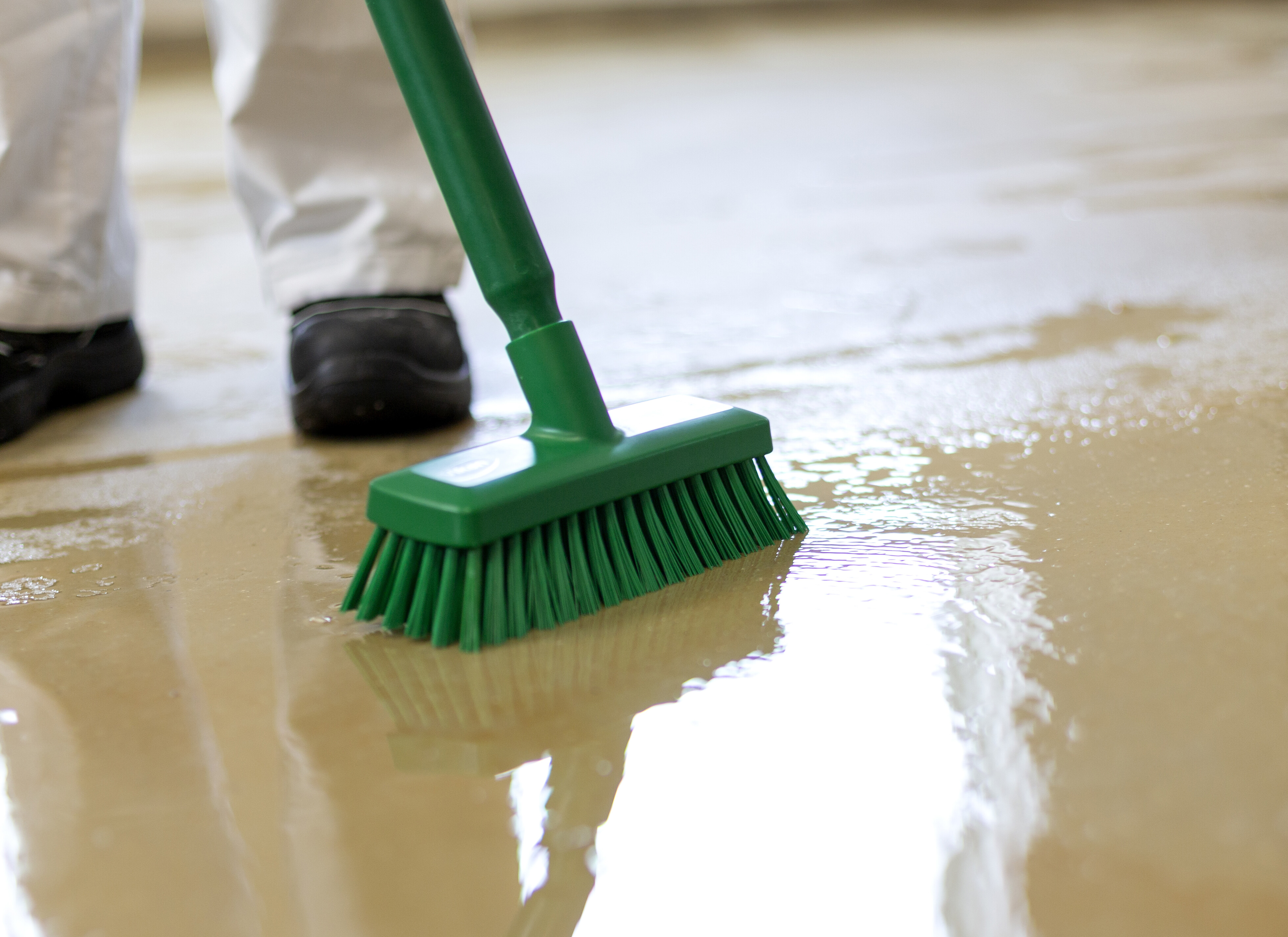 Vikan, Compact Wall/Deck Scrub, 225 mm, Hard, Blue