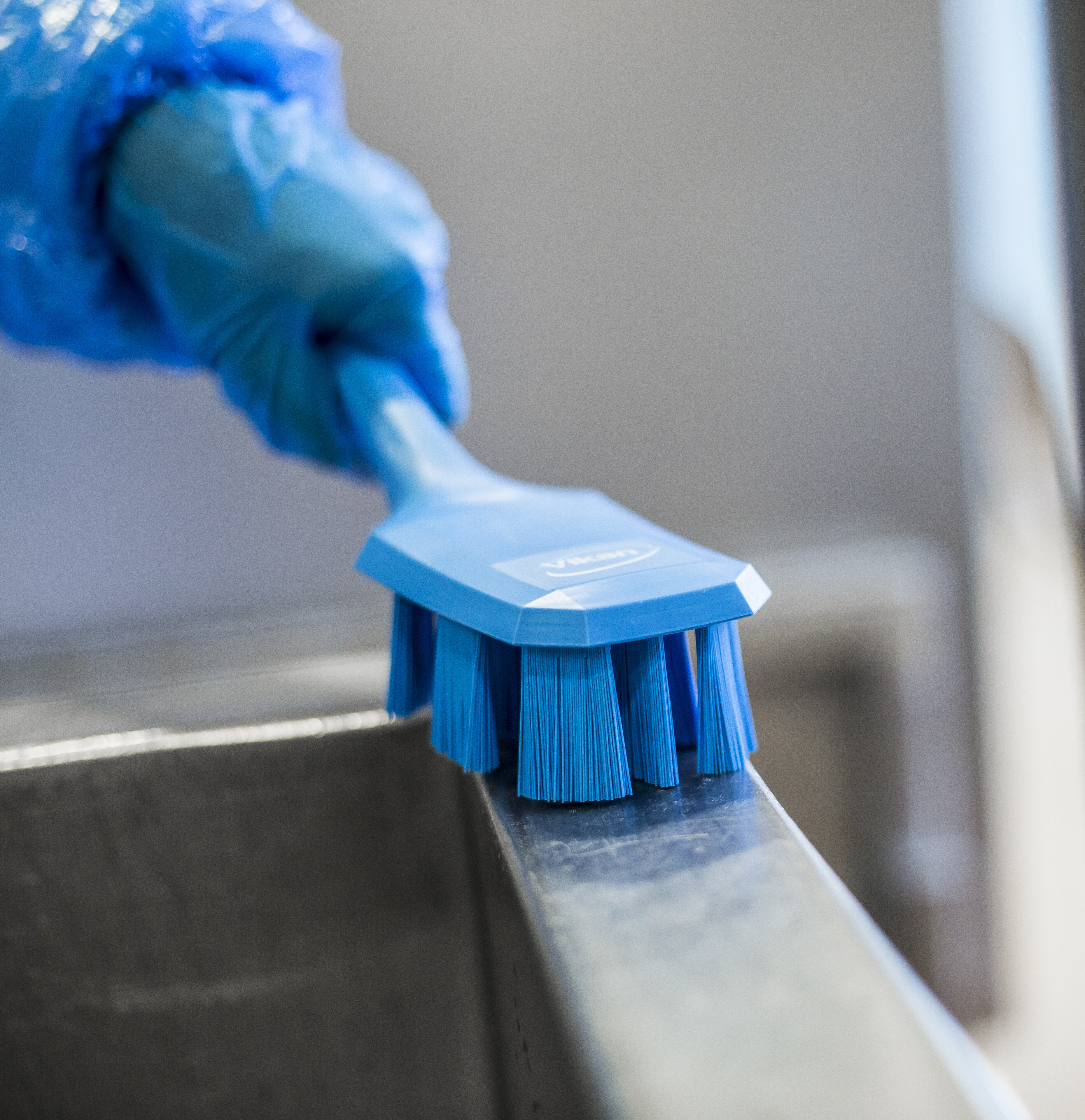 Vikan UST Hand Brush w/short handle, 260 mm, Hard, Blue