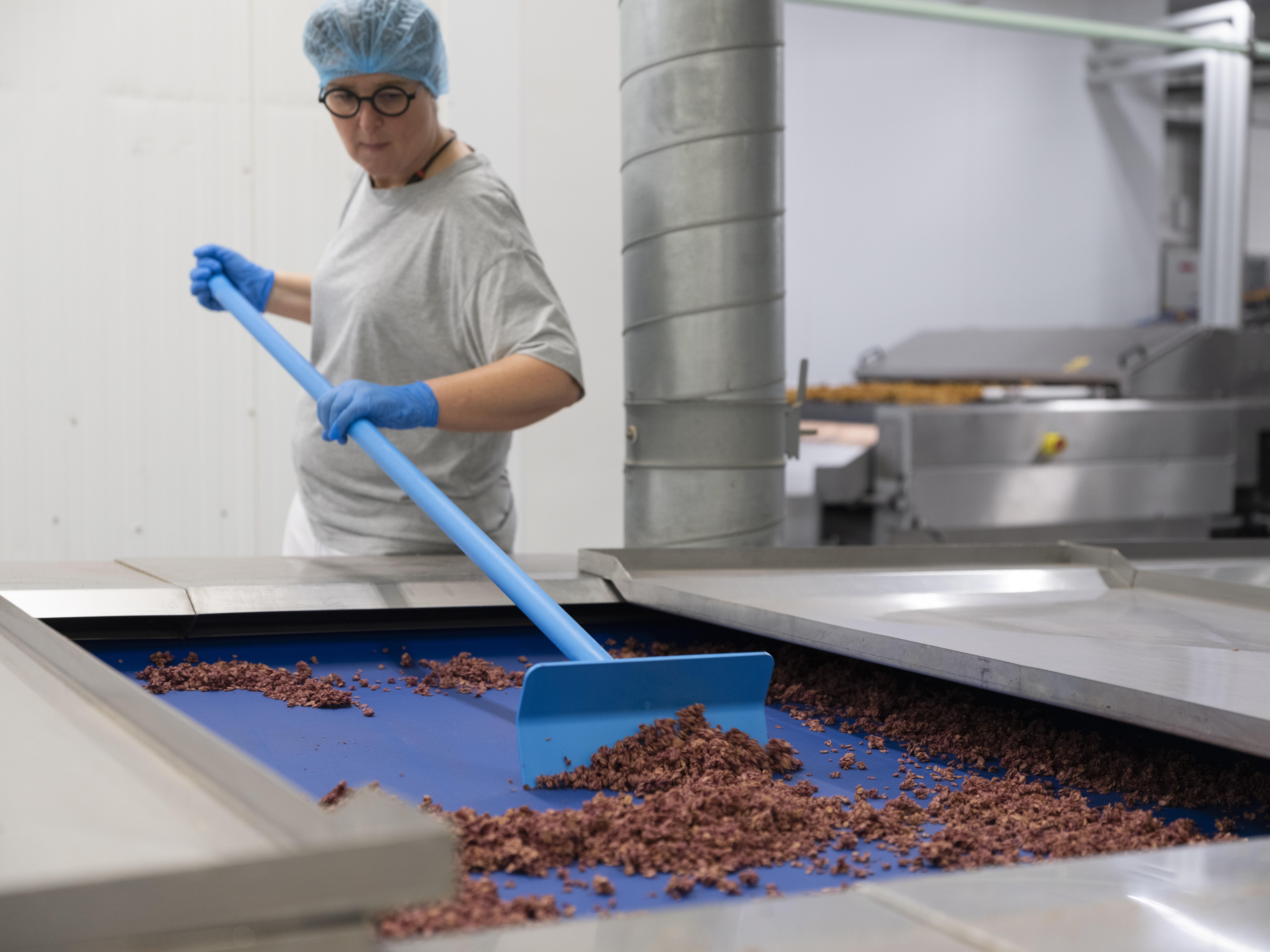 Vikan Push-Pull Hoe, 270 mm, Blue