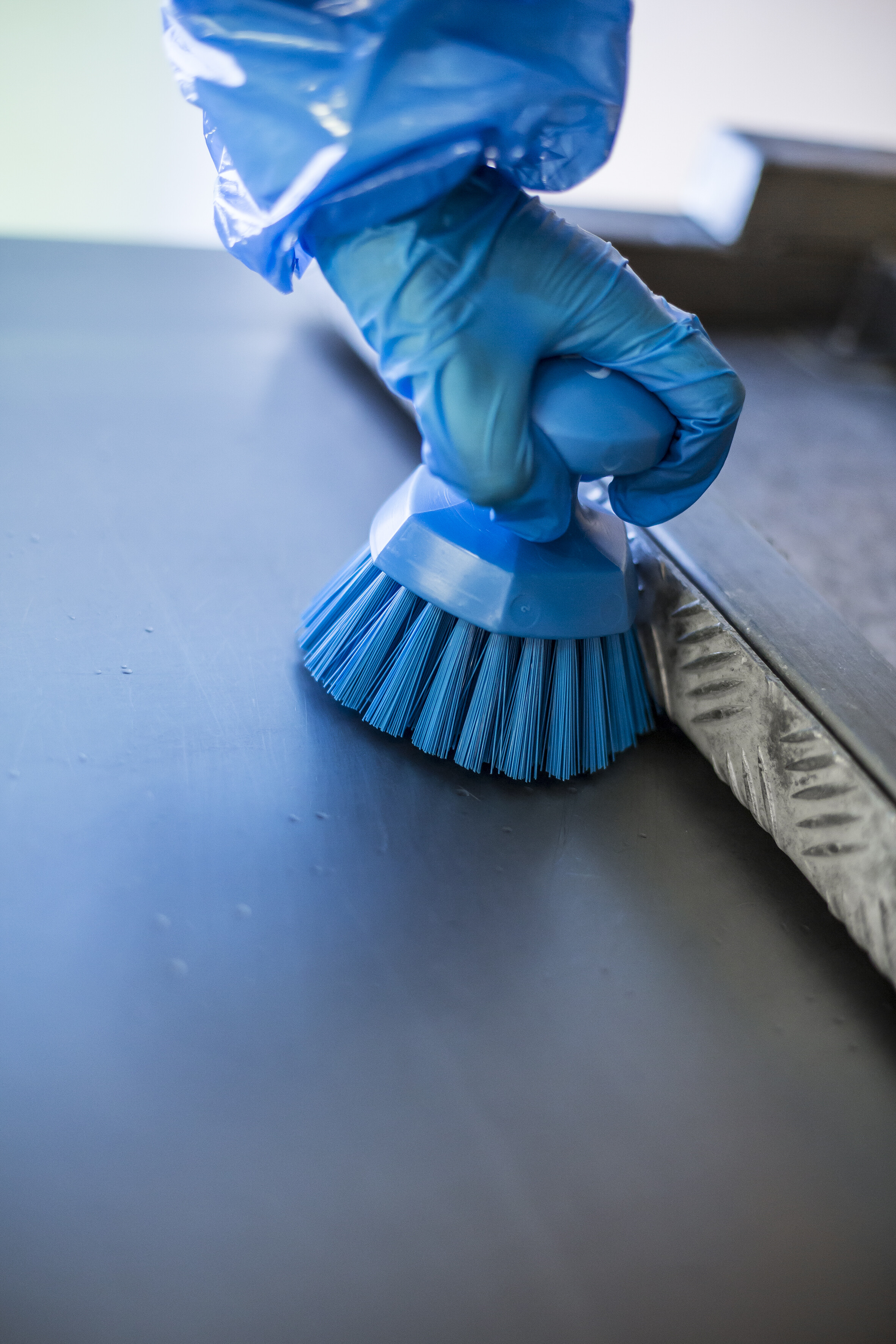 Vikan Round Hand Scrub, 110 mm, Hard, Blue