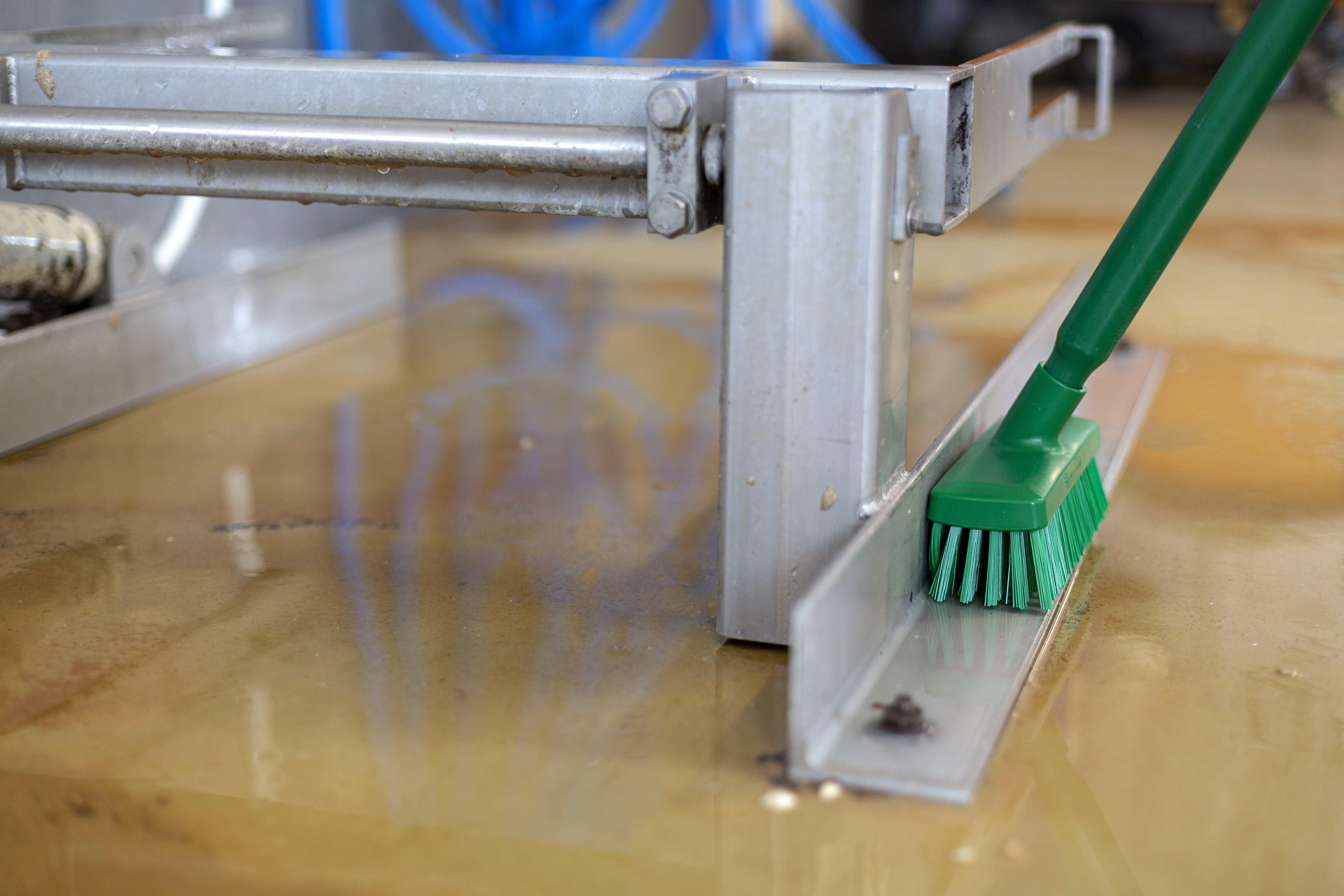 Vikan, Compact Wall/Deck Scrub, 225 mm, Hard, Blue