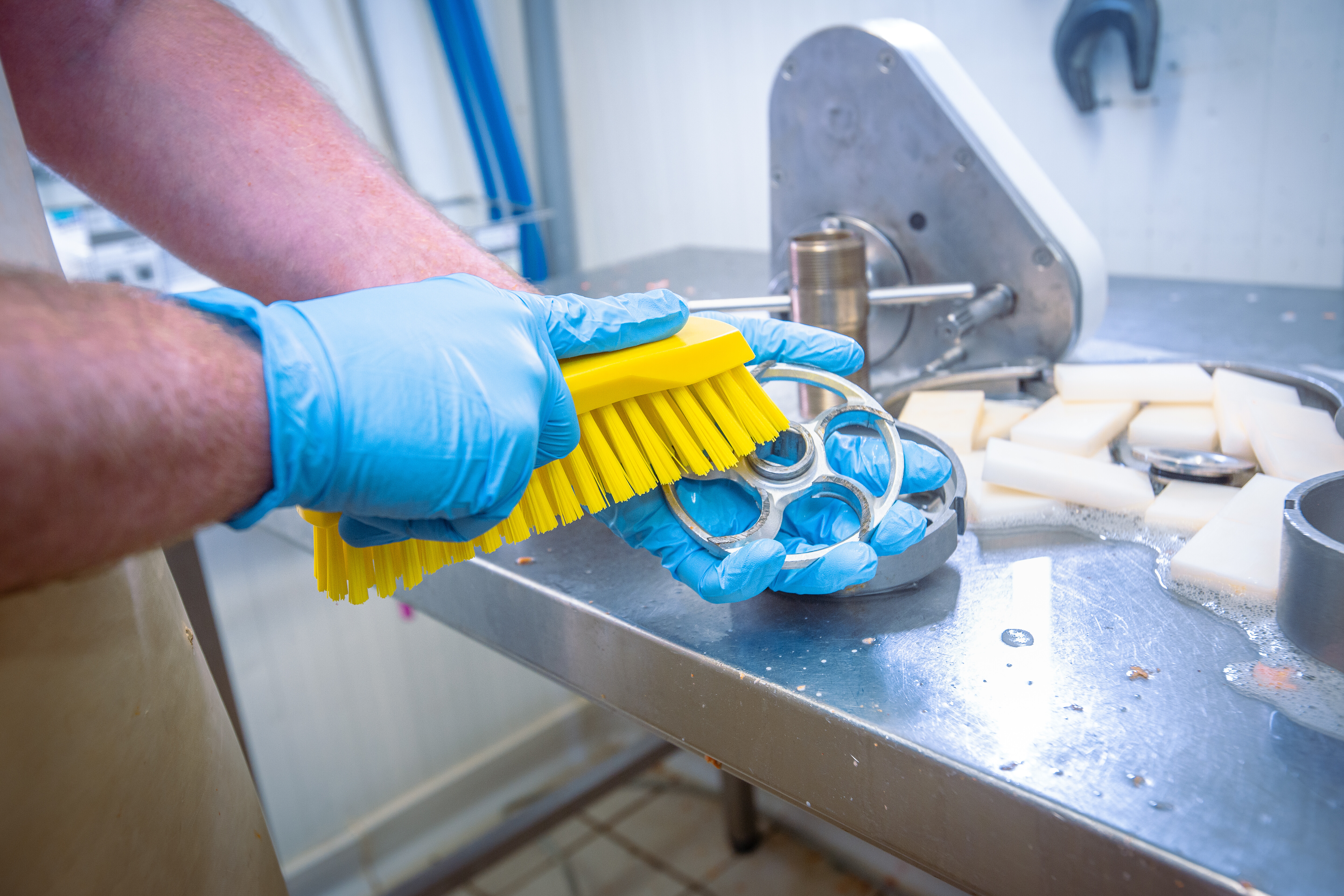 Vikan Hand Brush L, 200 mm, Hard, Blue