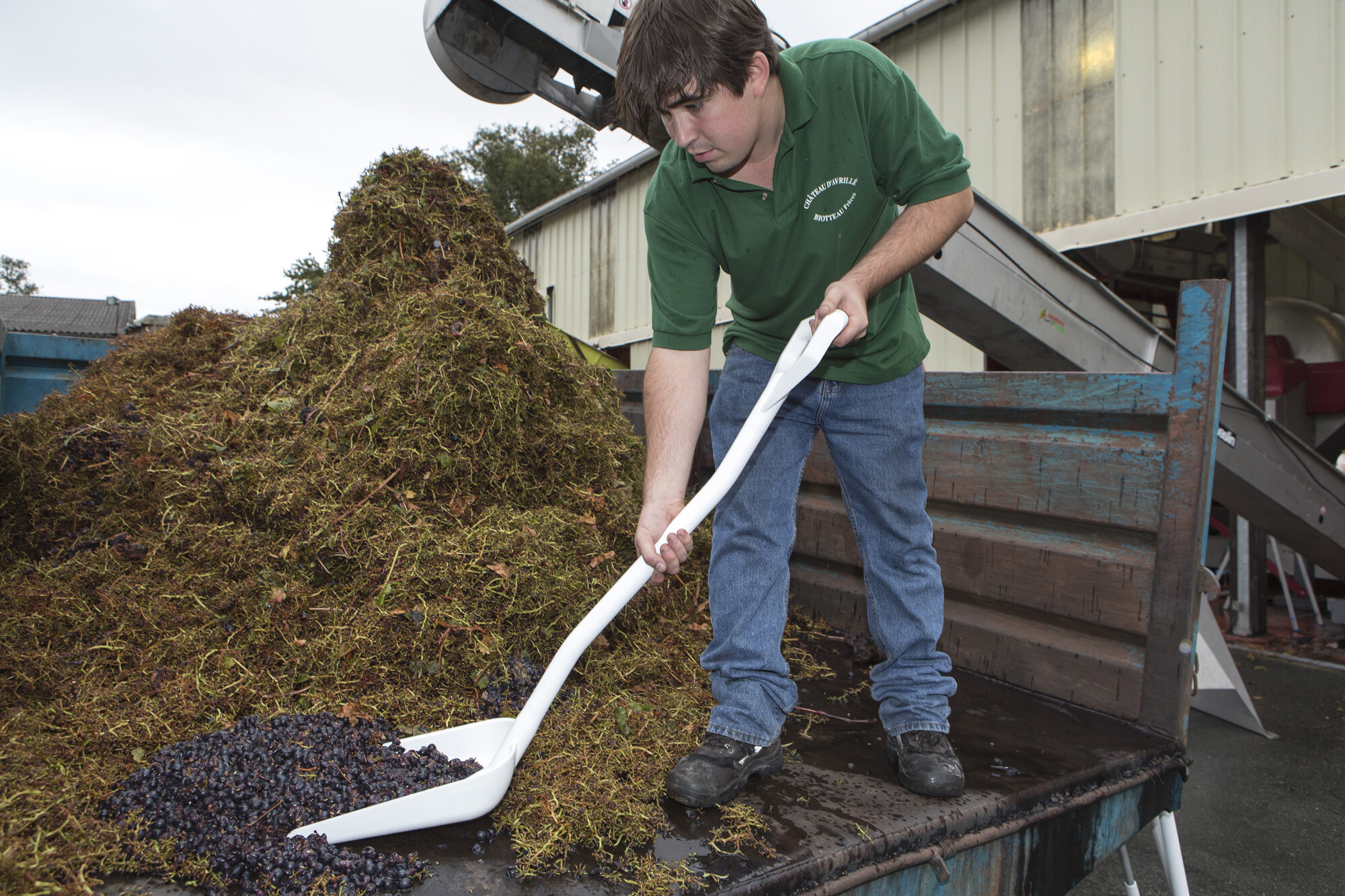 Vikan Ergonomic shovel, 1310 mm, Blue