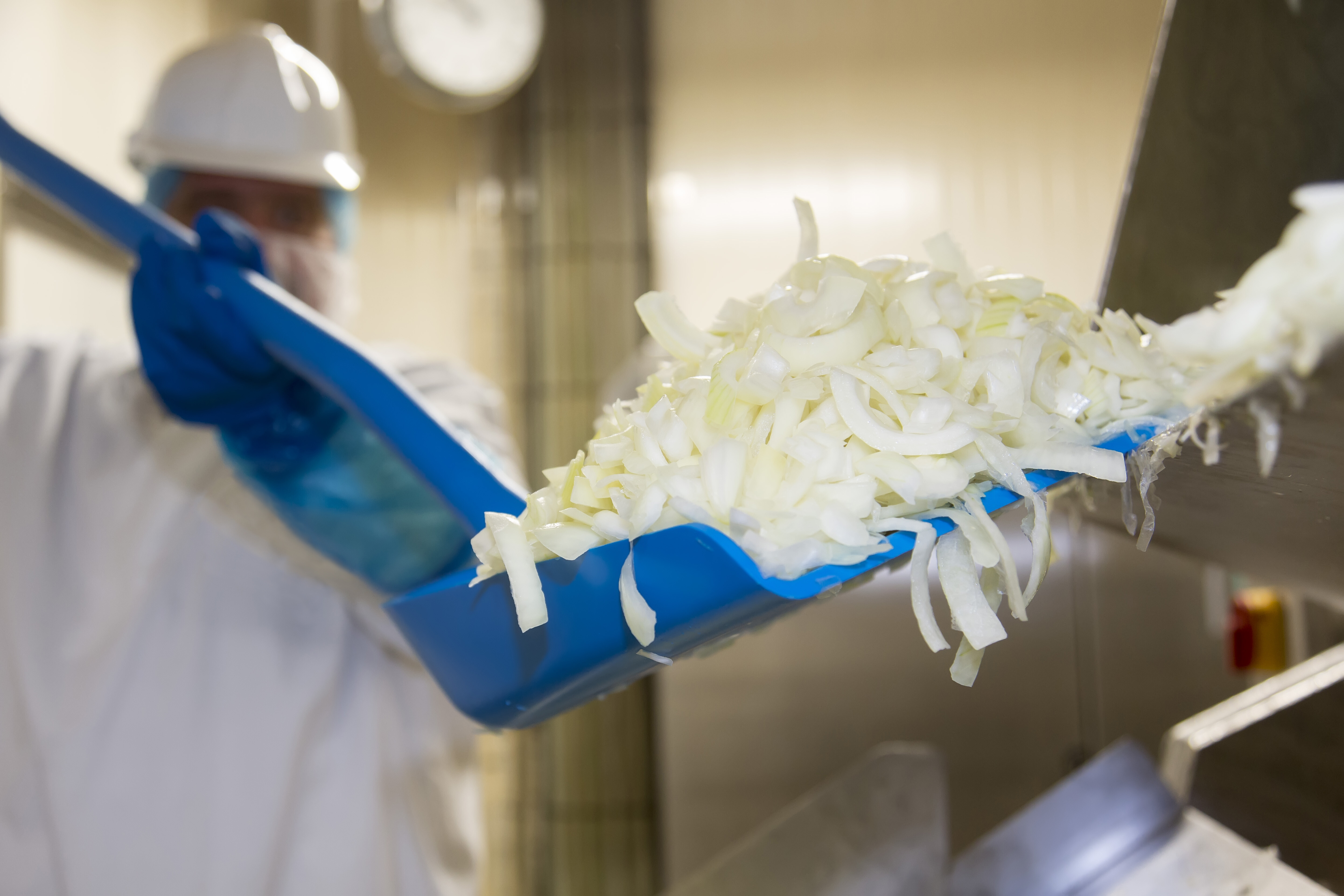 Vikan Ergonomic shovel, 1310 mm, Blue