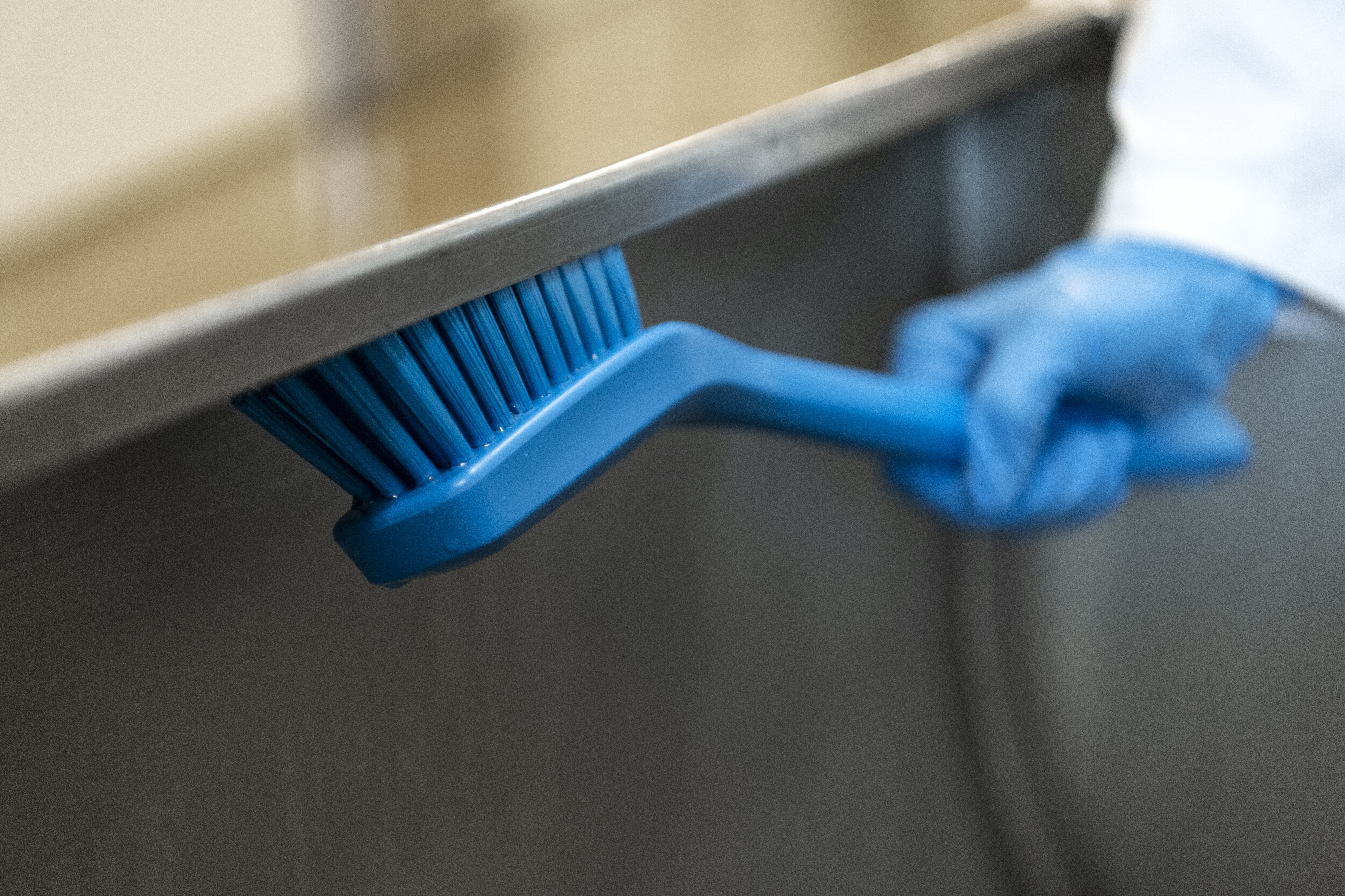 Vikan Narrow Cleaning Brush with Long Handle, 420 mm, Hard, Blue