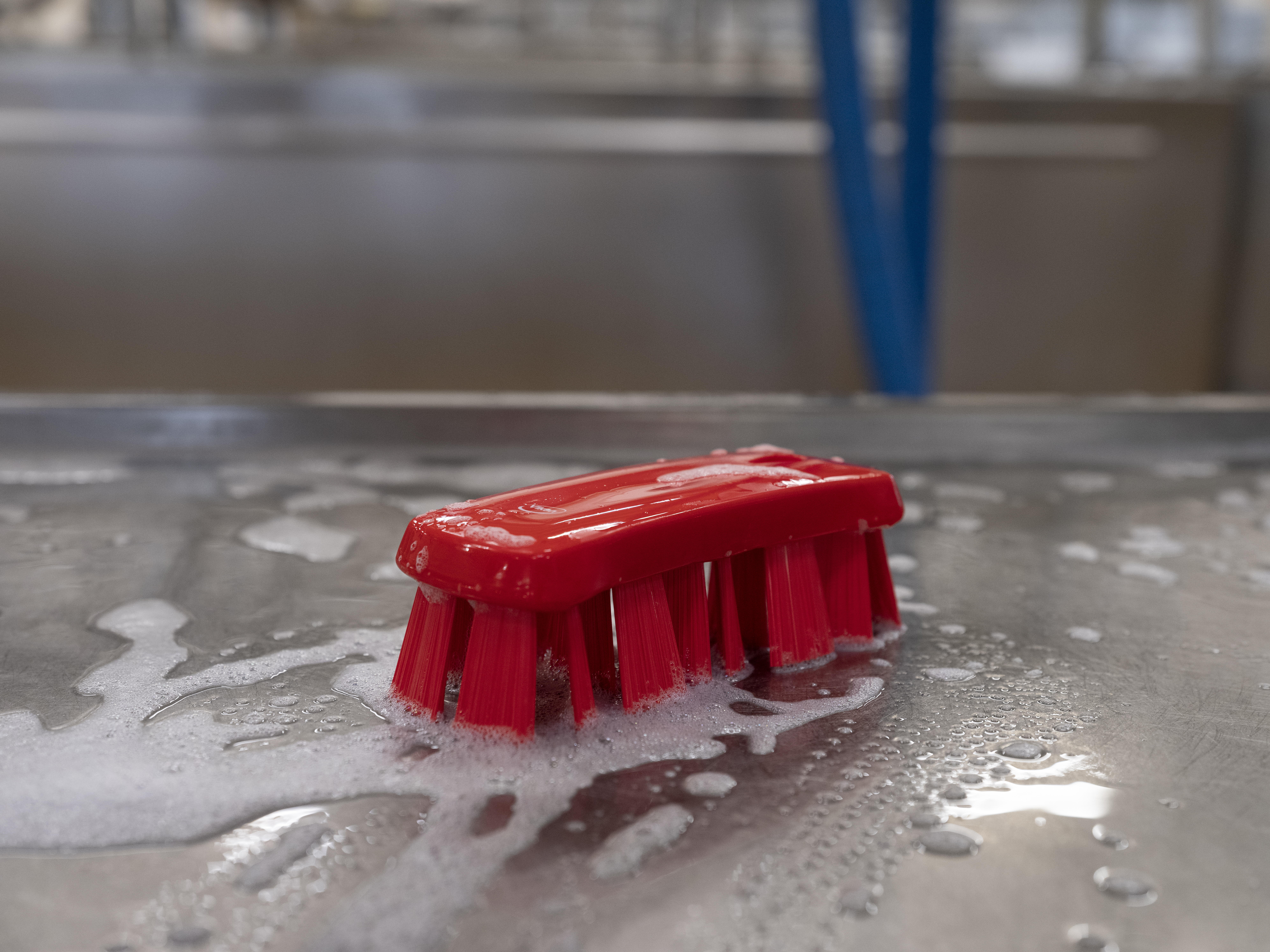 Vikan UST Hand Brush, 176 mm, Hard, Blue