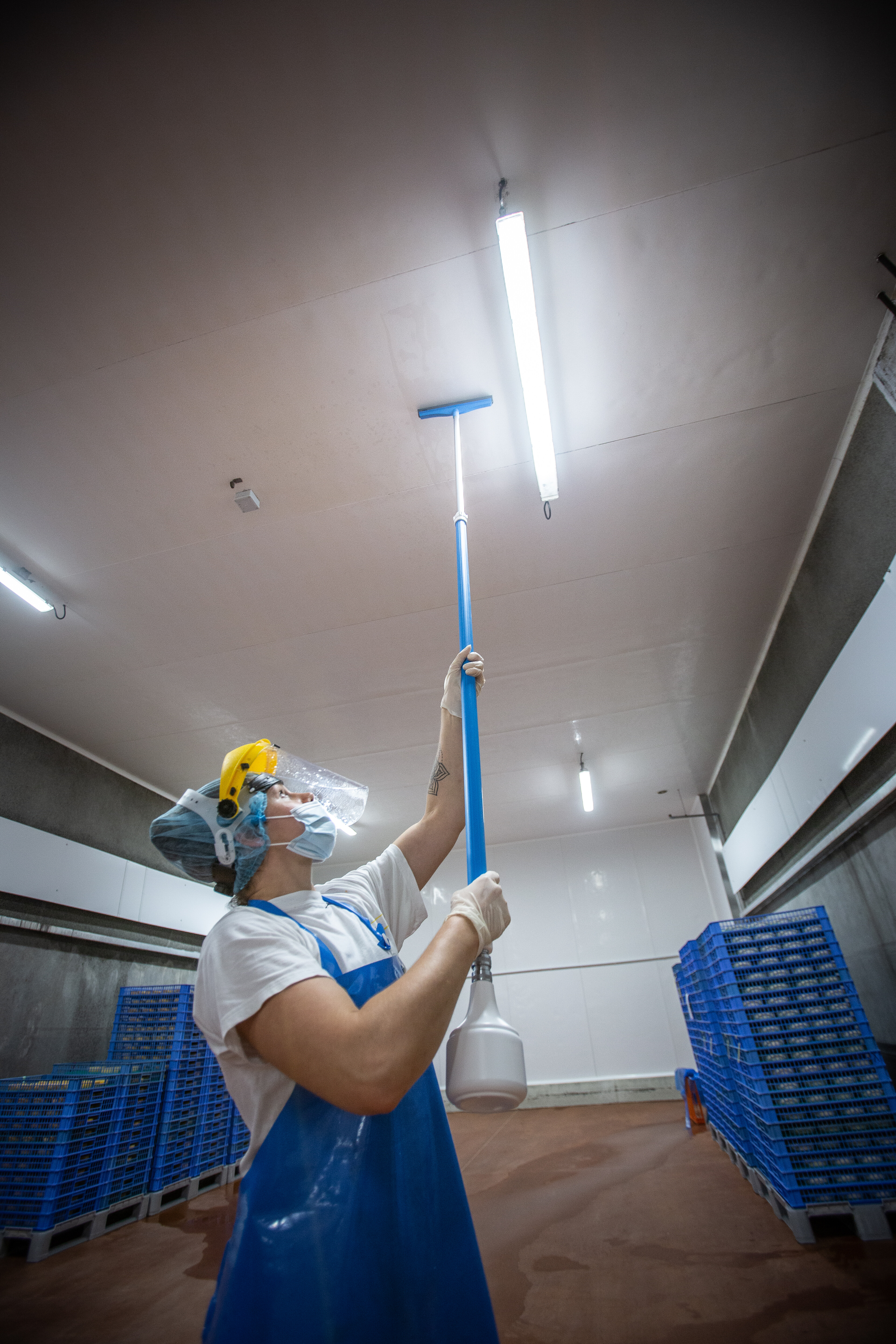 Vikan Aluminum Telescopic Handle, waterfed, w/Metal Nozzle (Q), 1600 - 2780 mm, Ø32 mm, Blue