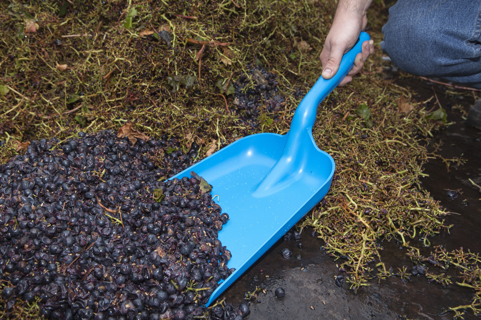 Vikan Hand shovel, 275 mm,  Blue