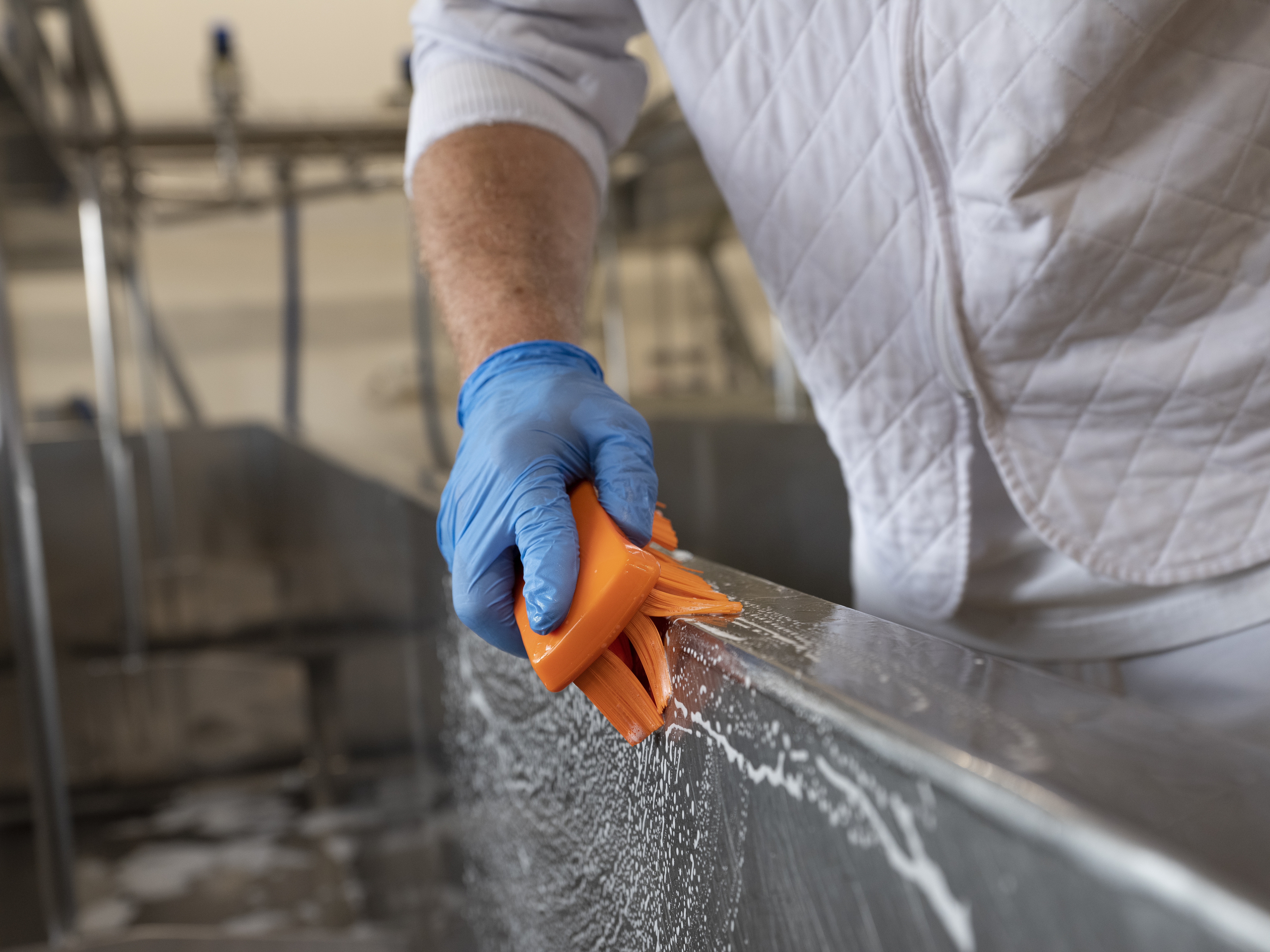 Vikan UST Hand Brush, 176 mm, Hard, Blue