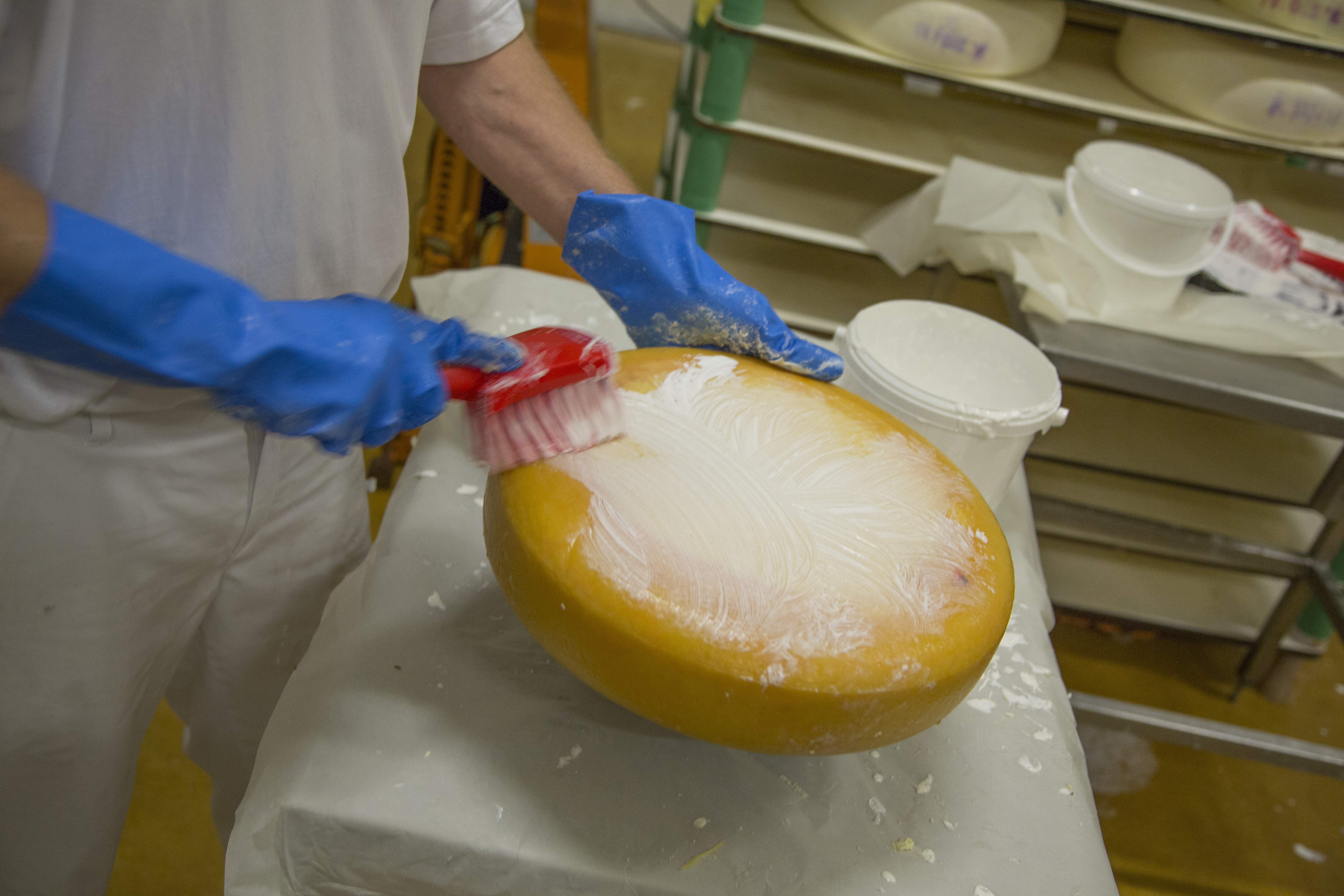 Vikan Washing Brush w/short Handle, 270 mm, Soft/split, Blue