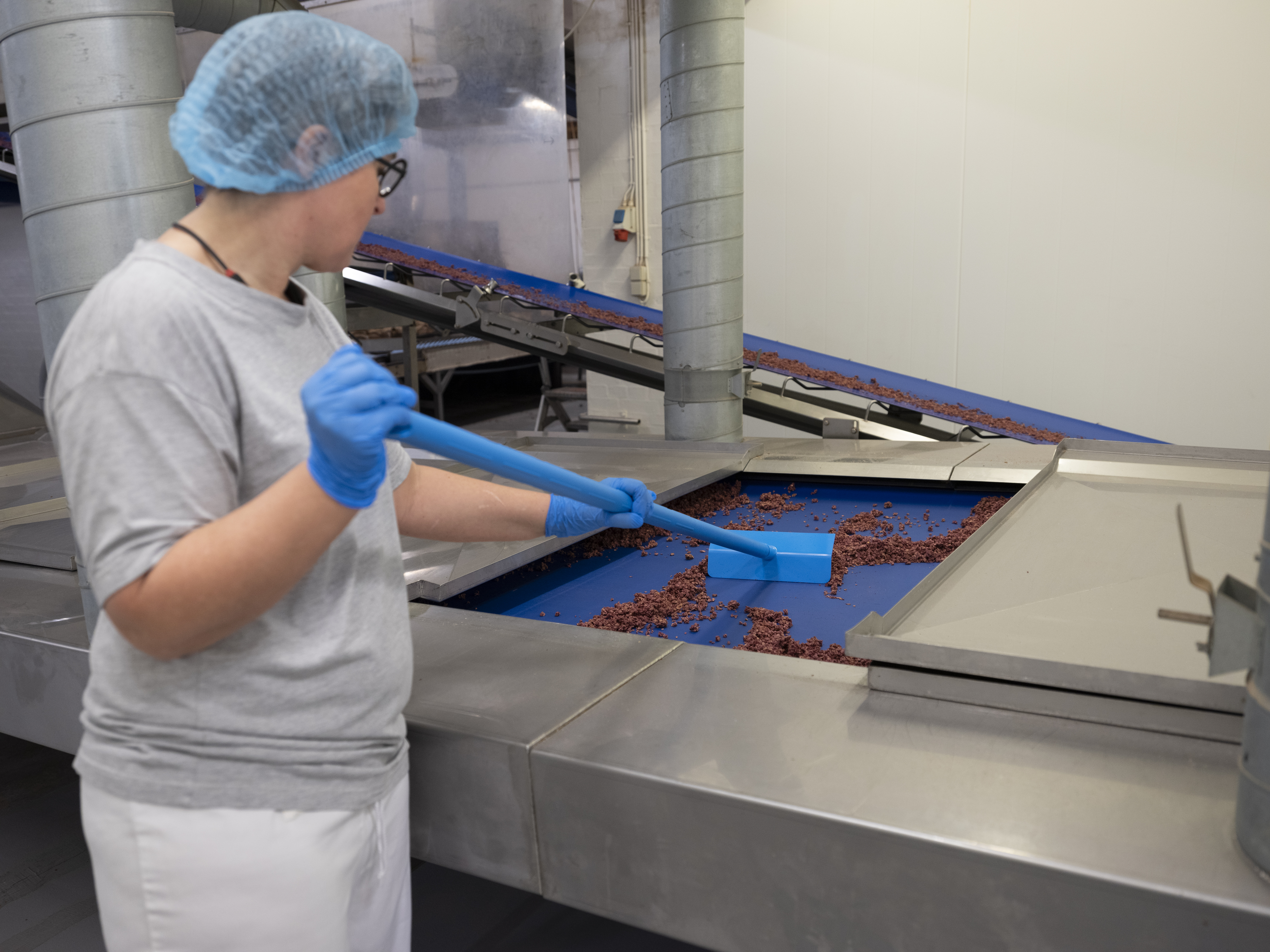 Vikan Push-Pull Hoe, 270 mm, Blue