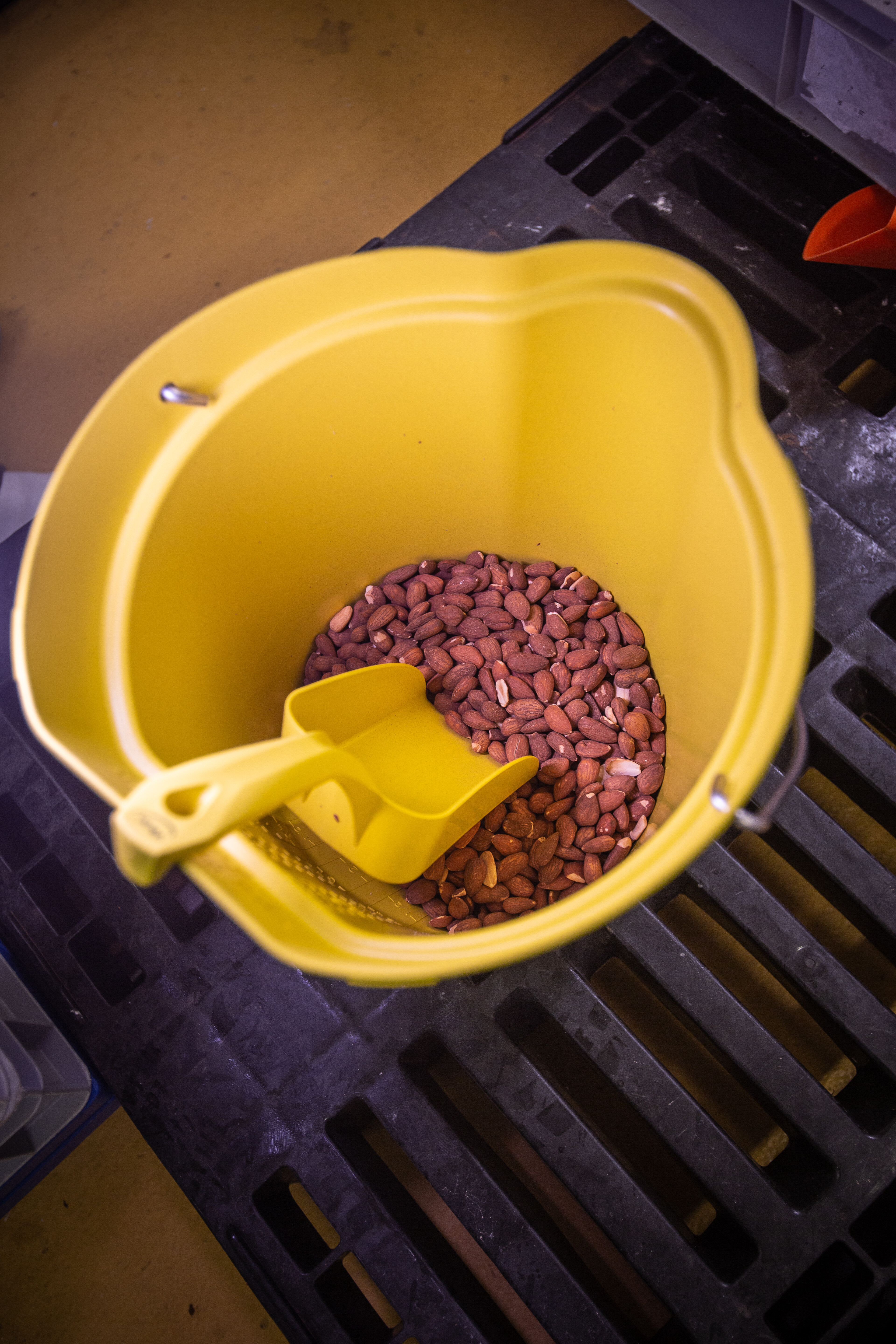 Vikan Hand Scoop, Metal Detectable, 2 Litre, Blue