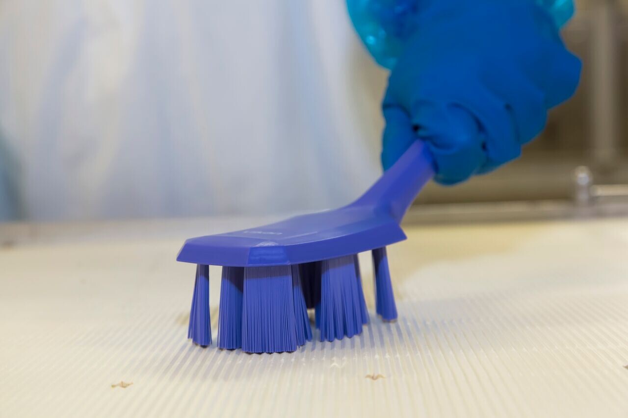 Vikan UST Hand Brush w/short handle, 260 mm, Hard, Blue