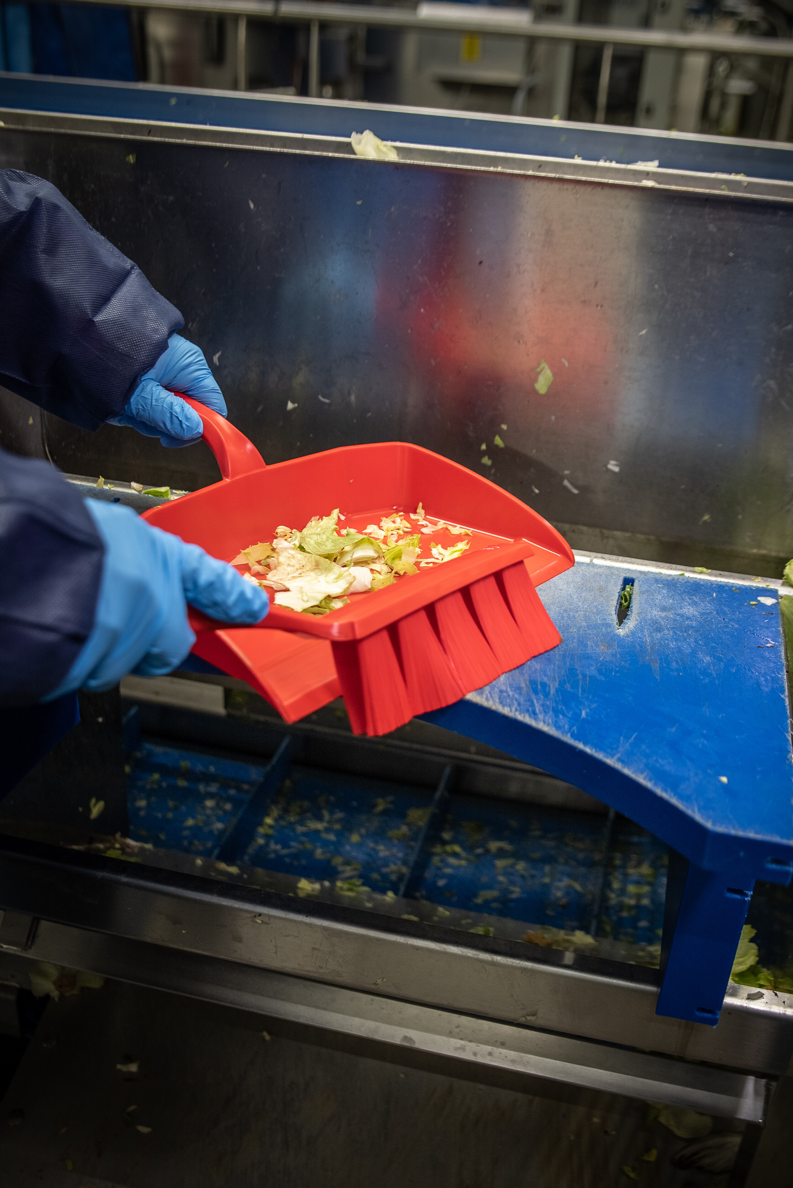 Vikan Dustpan, 295 mm, Blue