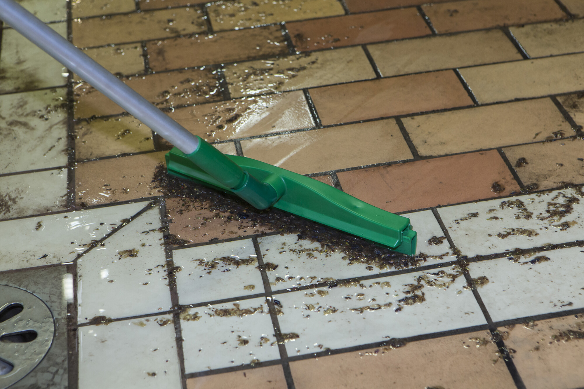 Vikan Hygienic Revolving Neck  Squeegee w/replacement cassette, 500 mm, Blue