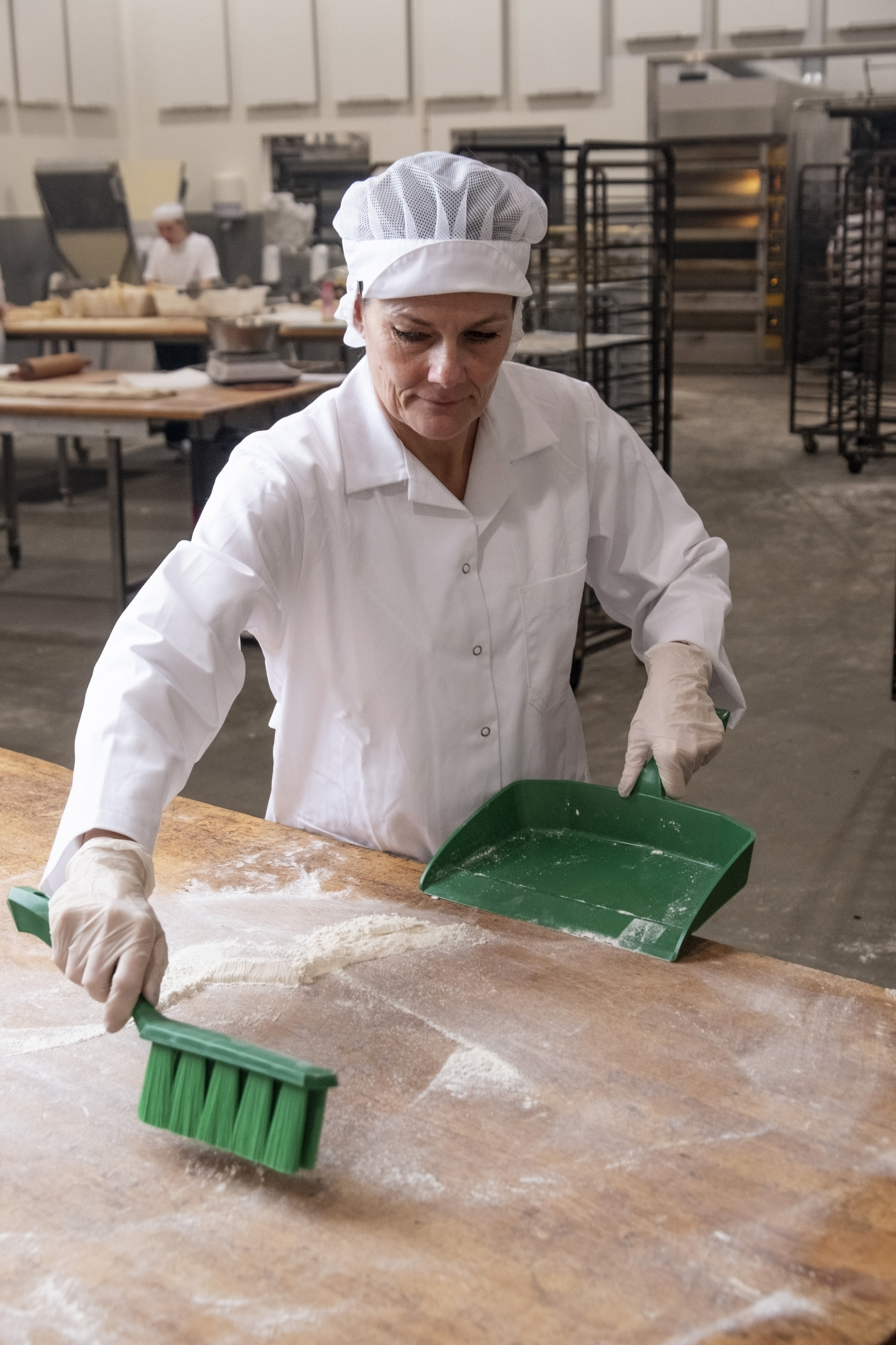 Vikan Dustpan, 295 mm, Blue