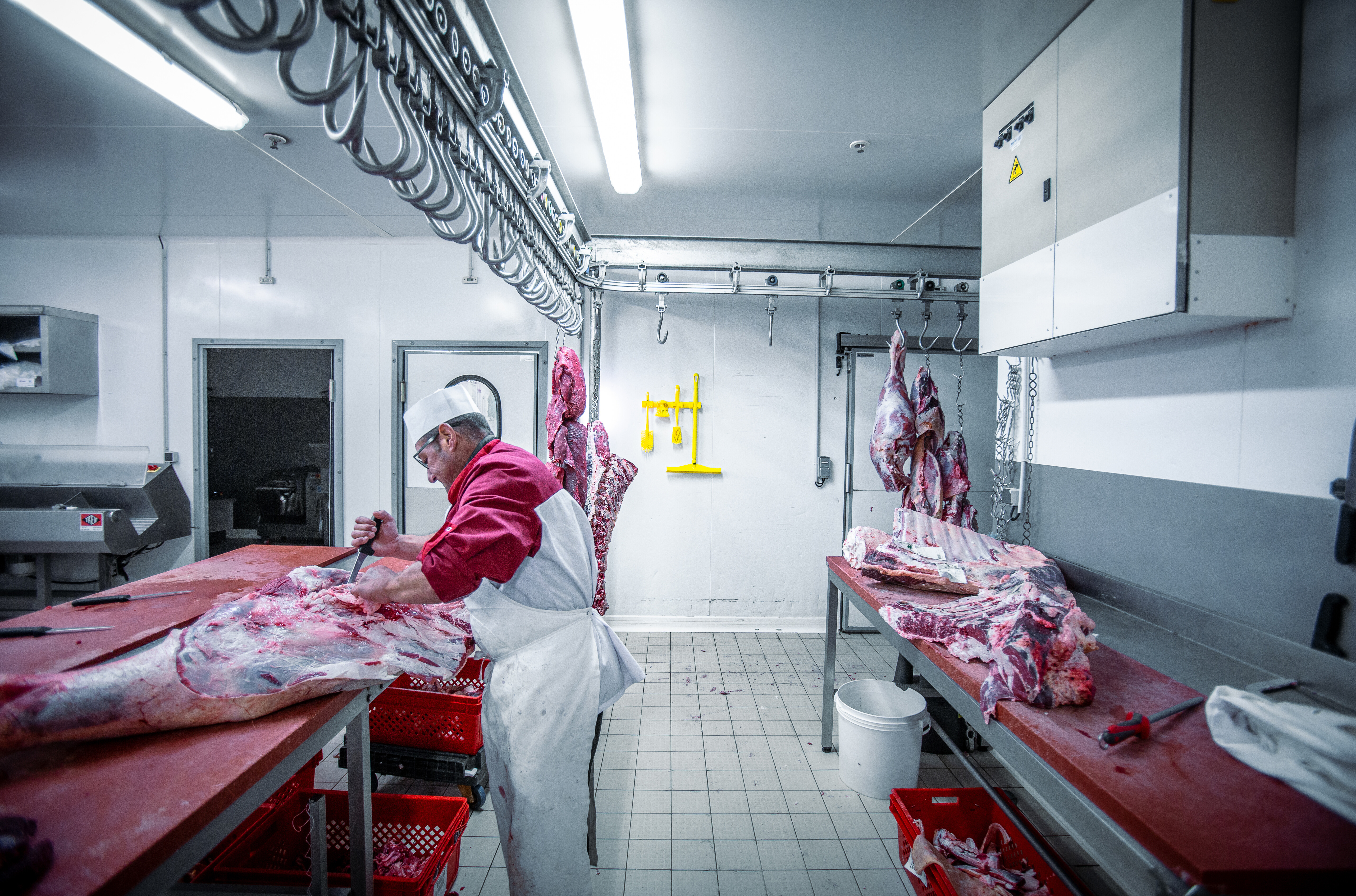 Vikan Pipe Brush w/handle, one piece, 430 mm, Medium/hard, Blue