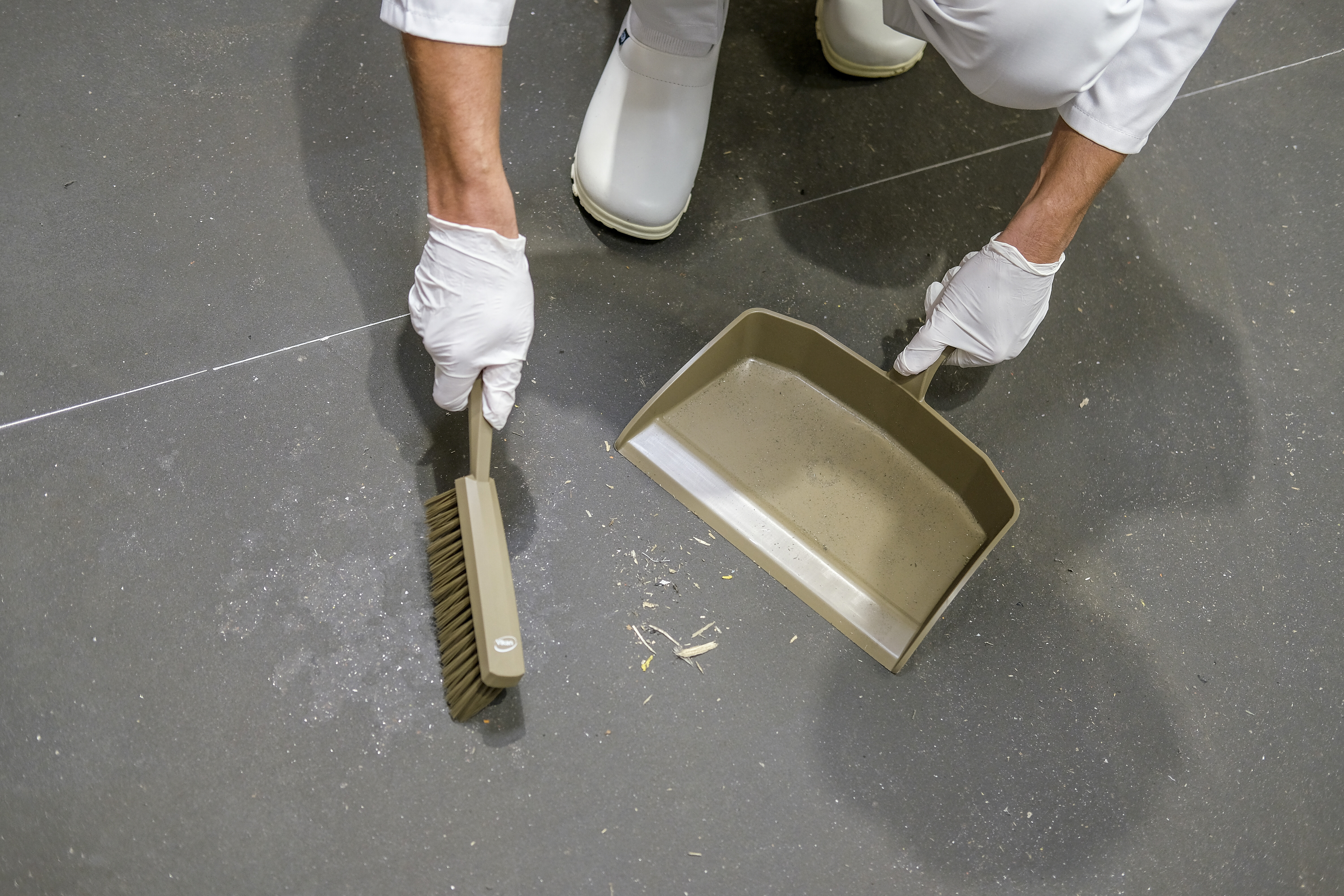 Vikan Hand Brush, 330 mm, Medium, Blue