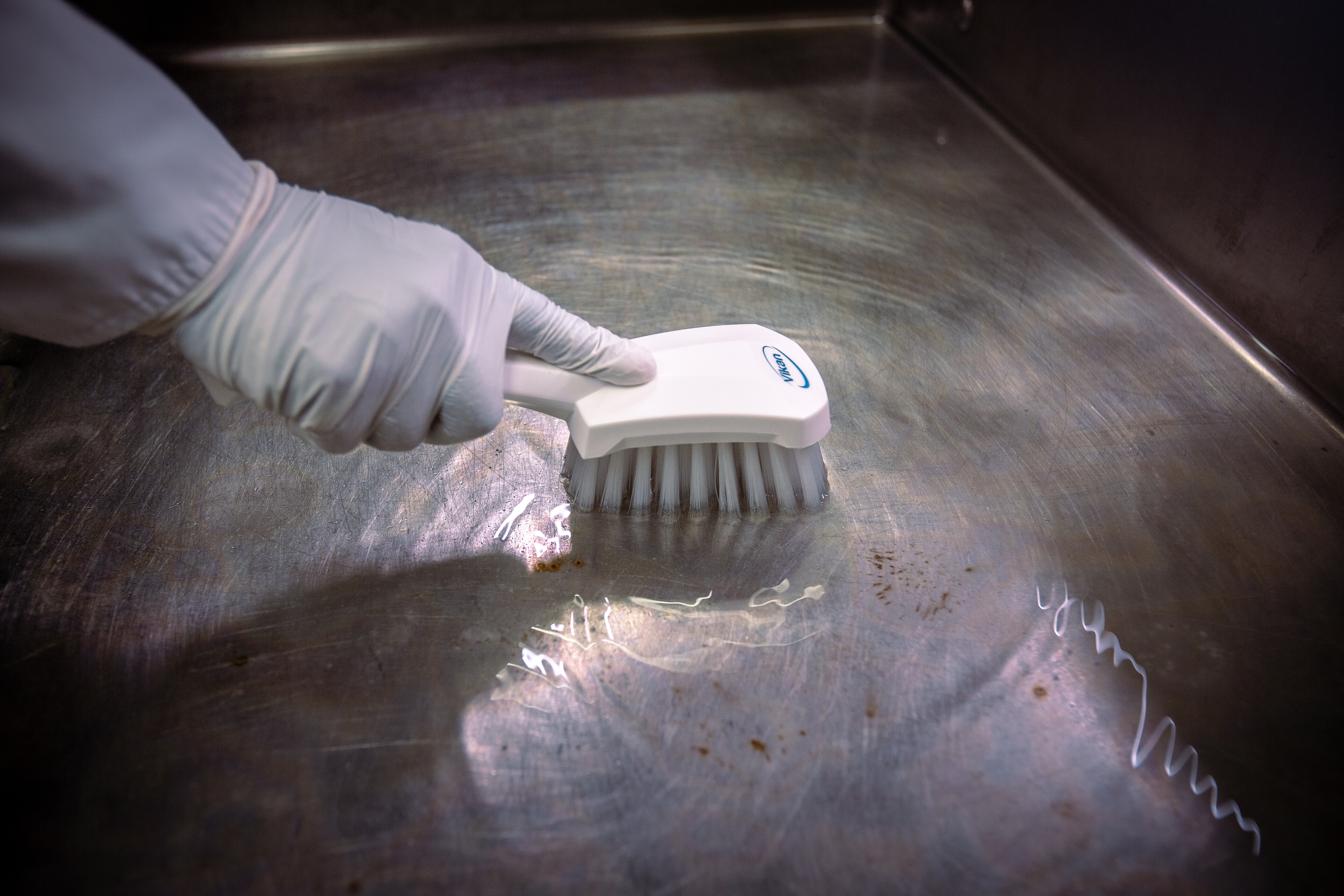 Vikan Washing Brush w/short Handle, 270 mm, Hard, Blue