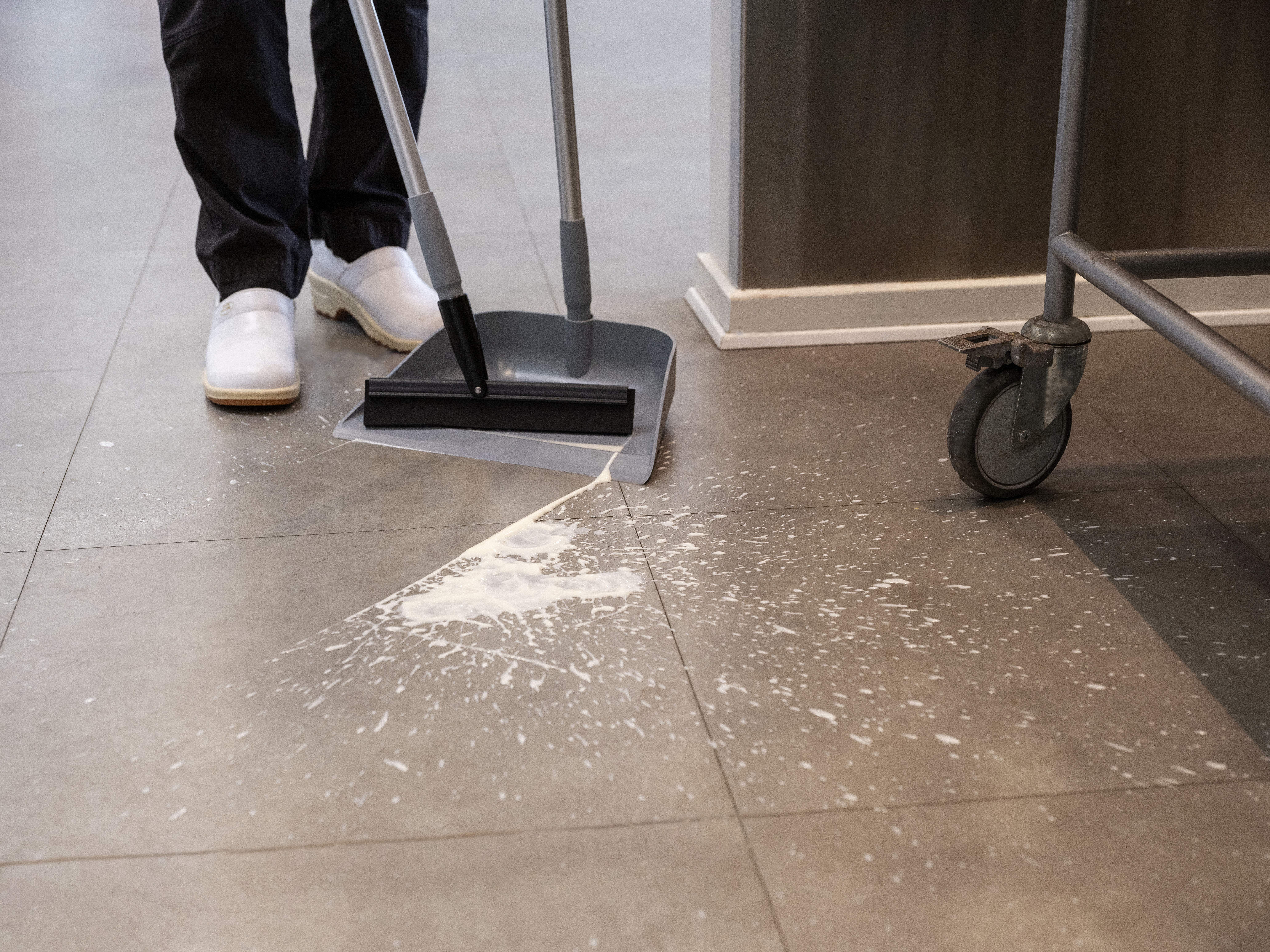 Vikan Upright Dustpan, 330 mm, Blue