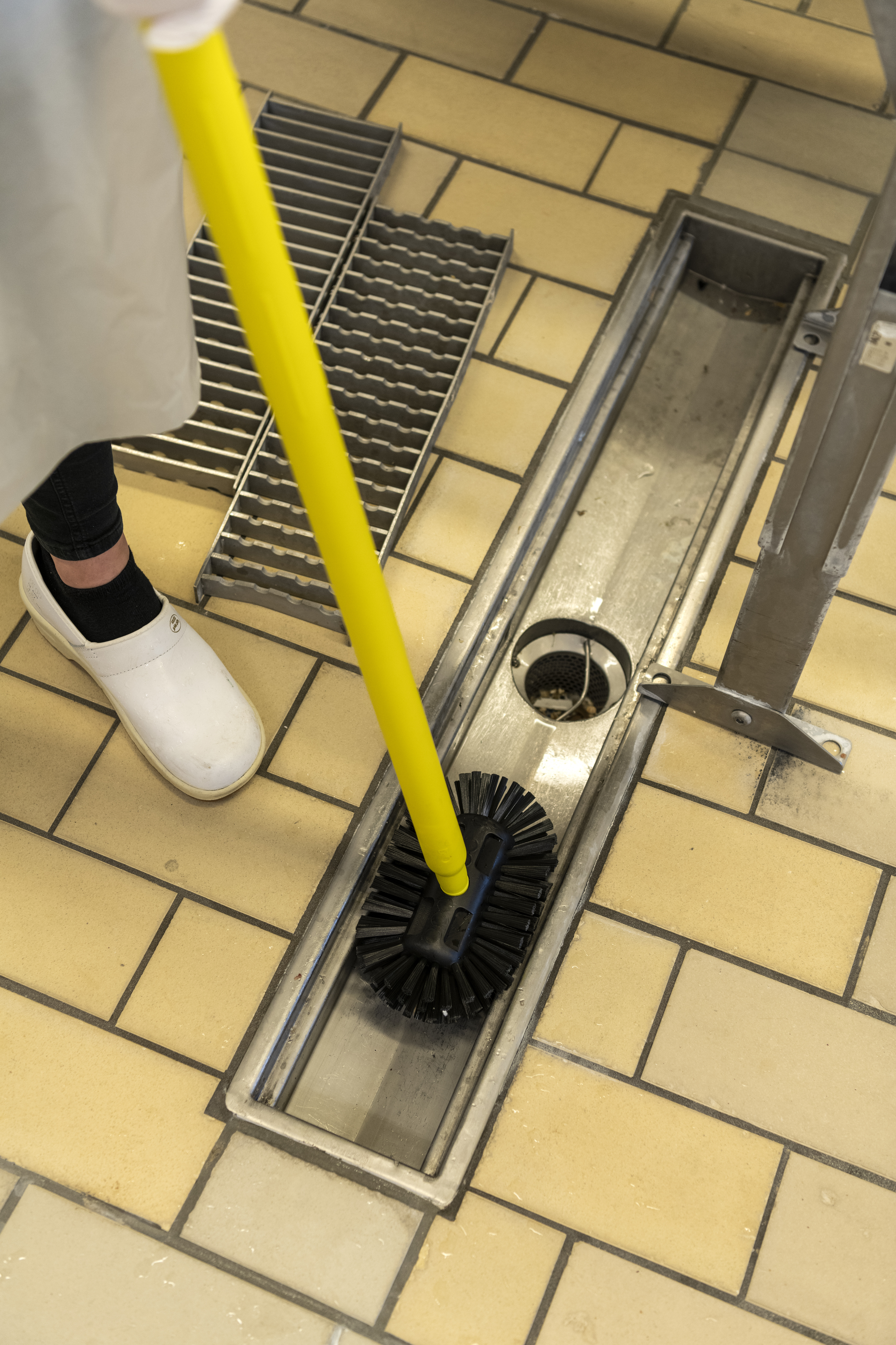 Vikan Tank Brush, 205 mm, Hard, Blue