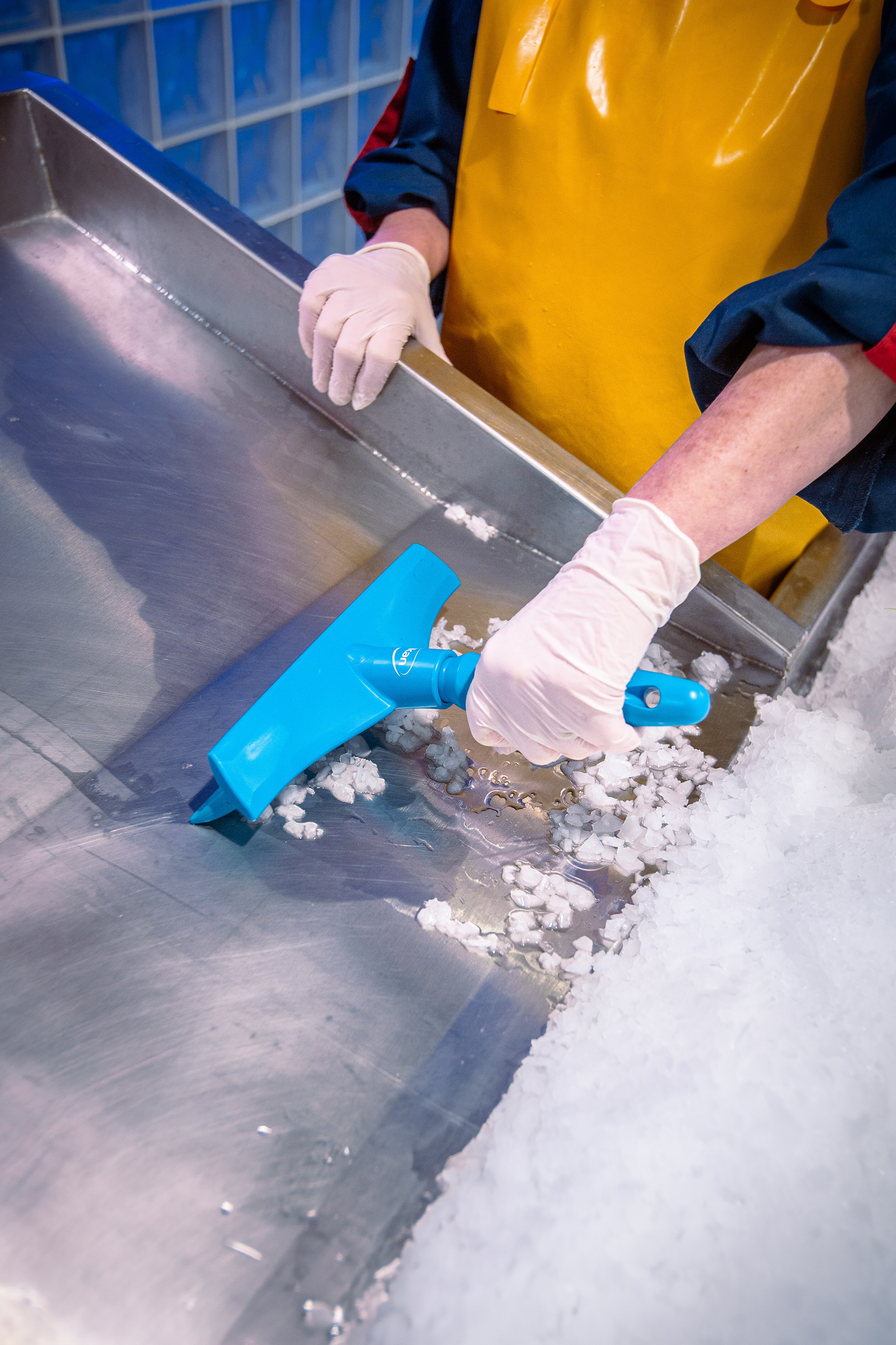 Vikan Ultra Hygiene Table Squeegee w/Mini Handle, 245 mm, Blue