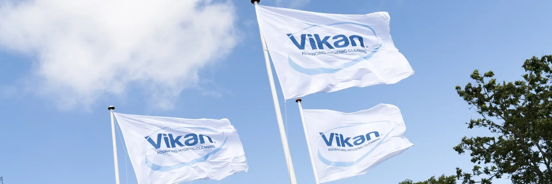 3 Vikan flags flying